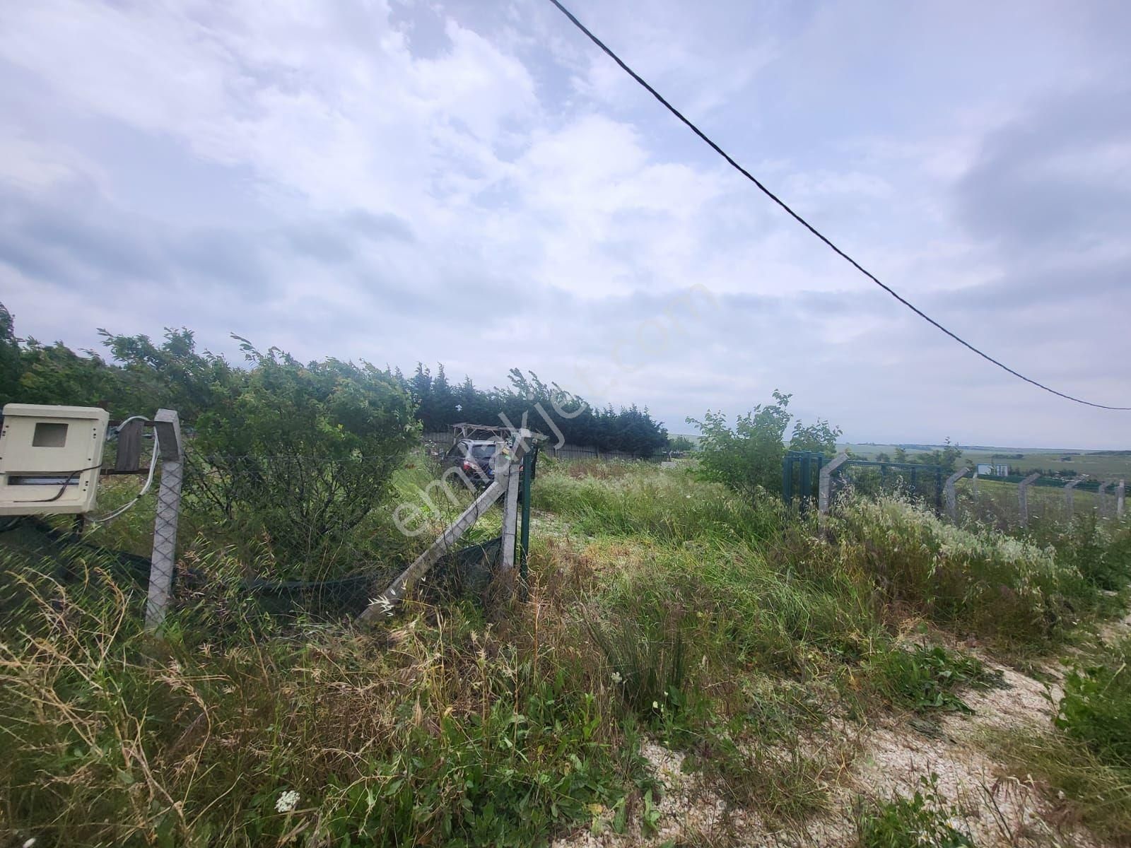 Eskice De Tek Tapu 500 M² Çevrili İçinde Kuyusu Olan Arsa - Görsel 19