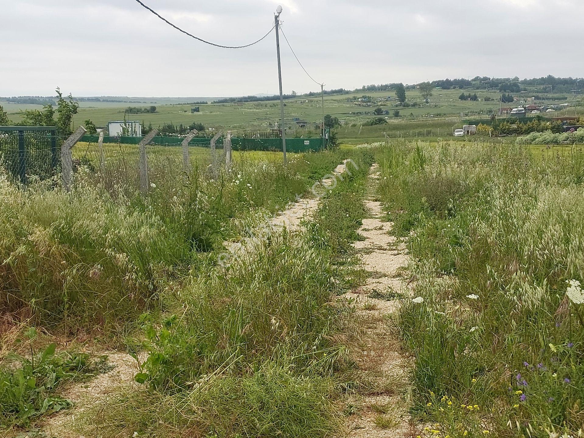Büyükçekmece Eskice De Tek Tapu 500 M² Tel Çevrili Kapılı Kuyusu Var Meyve Ağaçları Var Yolu Var - Görsel 13