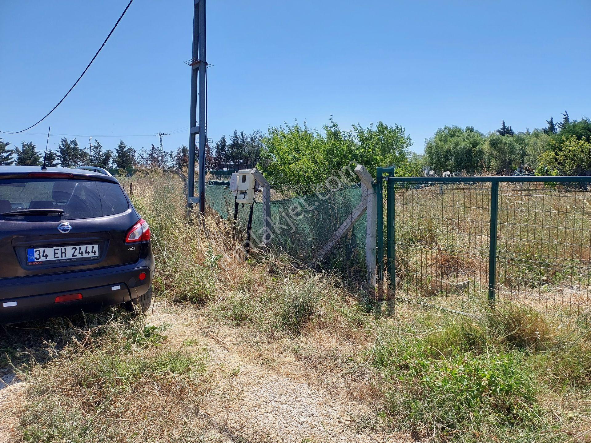 Büyükçekmece Eskice De Tek Tapu 500 M² Tel Çevrili Kapılı Kuyusu Var Meyve Ağaçları Var Yolu Var - Görsel 17
