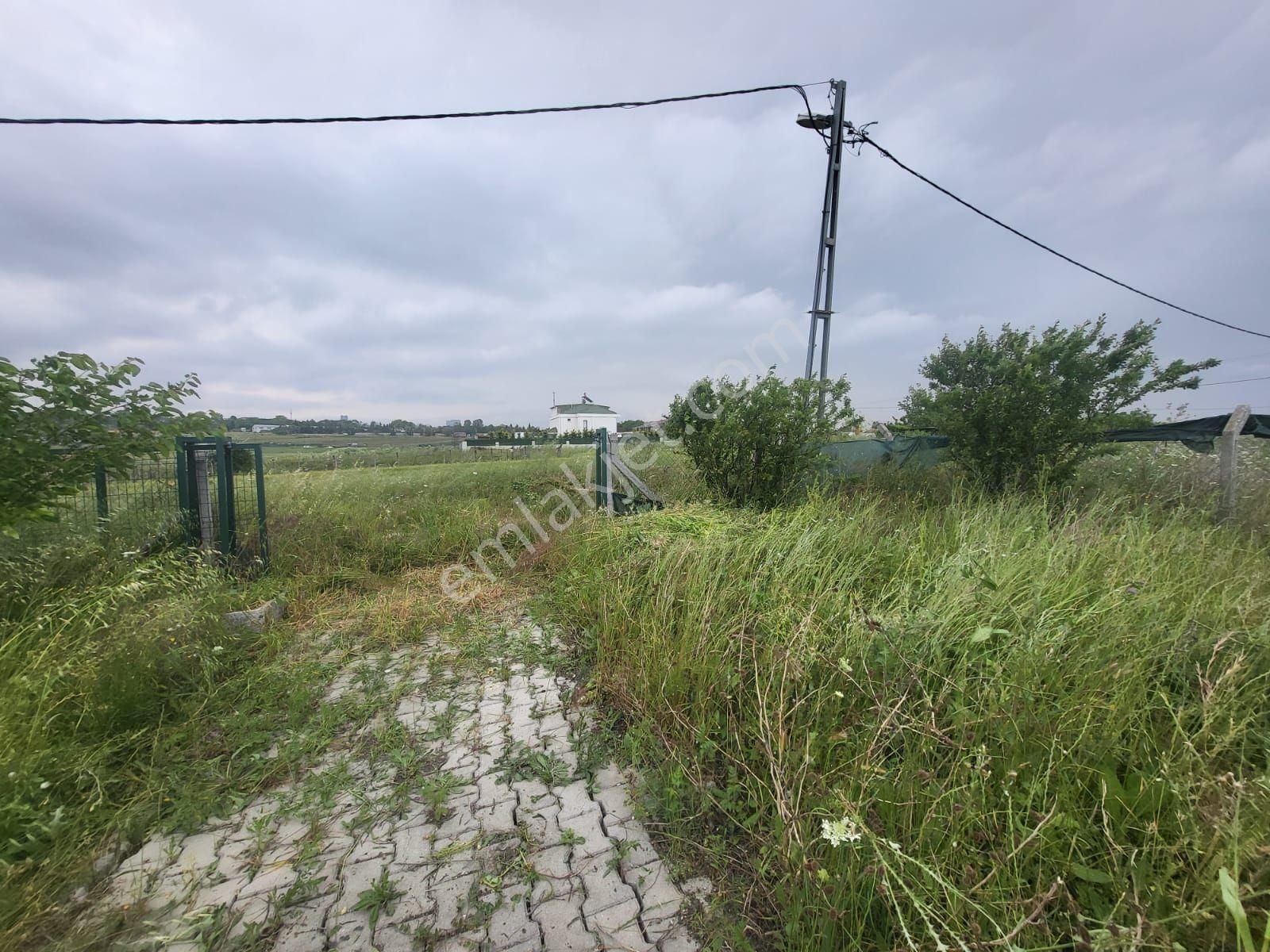 Eskice De Tek Tapu 500 M² Çevrili İçinde Kuyusu Olan Arsa - Görsel 17