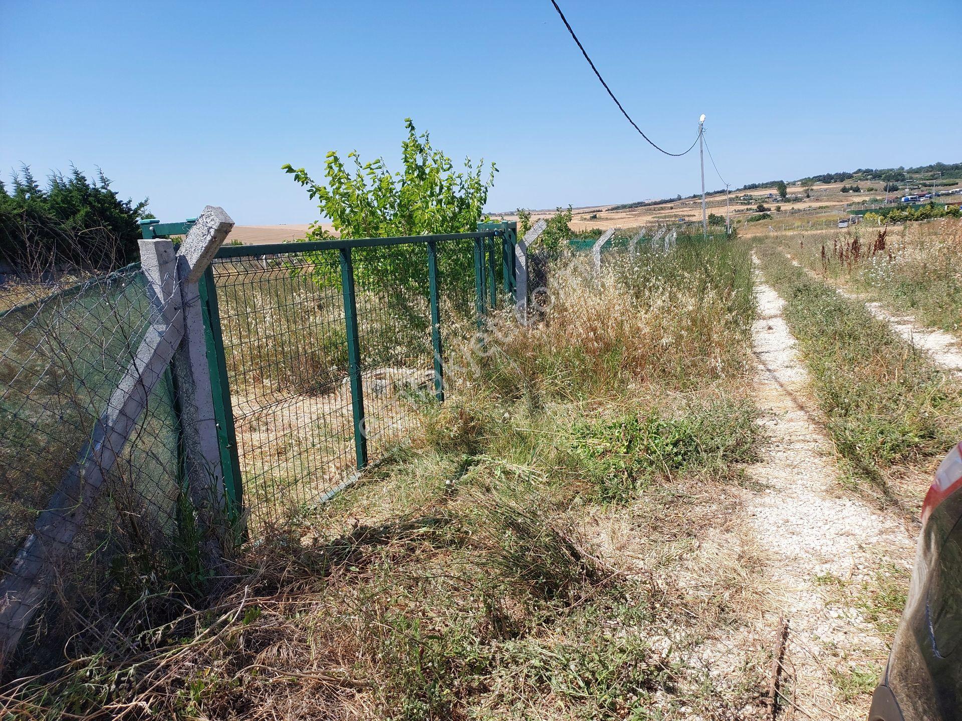 Büyükçekmece Eskice De Tek Tapu 500 M² Tel Çevrili Kapılı Kuyusu Var Meyve Ağaçları Var Yolu Var - Görsel 18