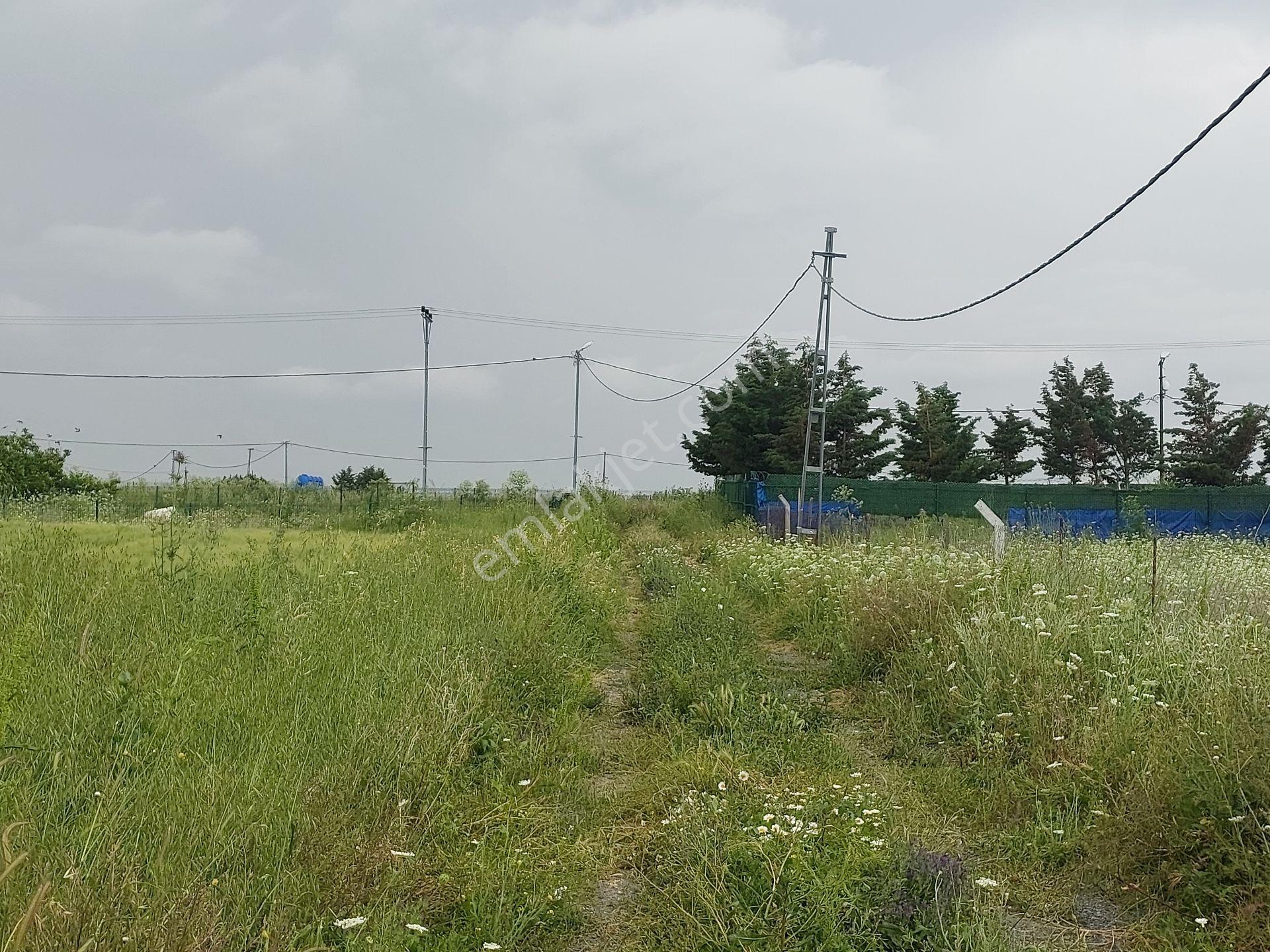 Büyükçekmece Eskice De Tek Tapu 500 M² Tel Çevrili Kapılı Kuyusu Var Meyve Ağaçları Var Yolu Var - Görsel 10