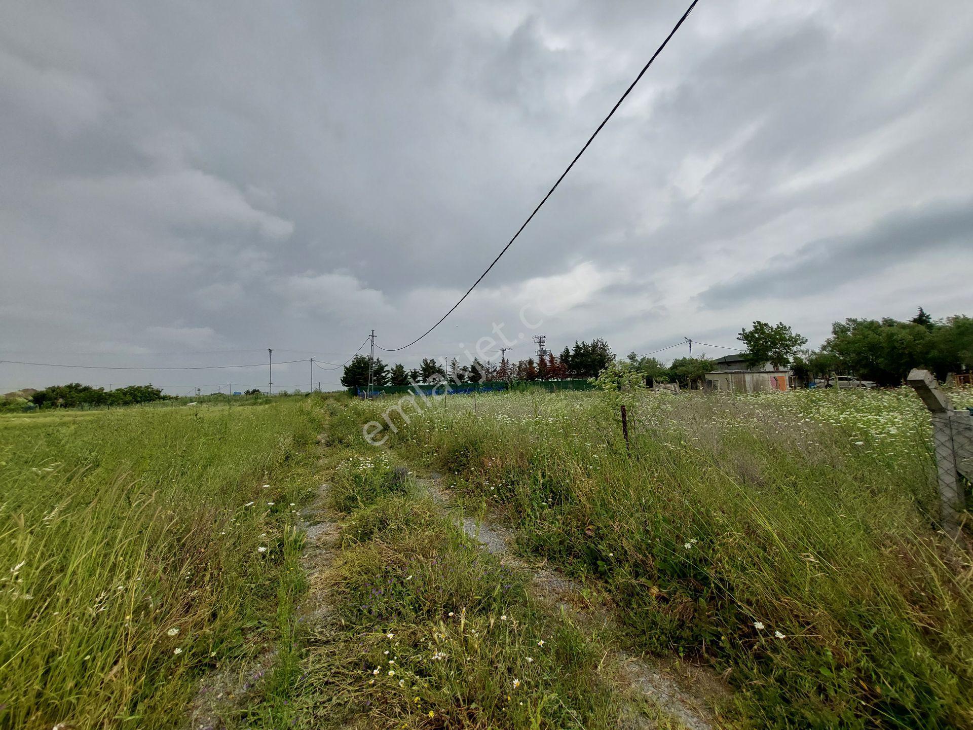 Büyükçekmece Eskice De Tek Tapu 500 M² Tel Çevrili Kapılı Kuyusu Var Meyve Ağaçları Var Yolu Var - Görsel 7