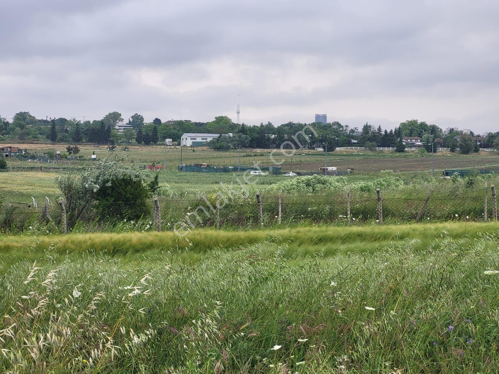 Eskice De Tek Tapu 500 M² Çevrili İçinde Kuyusu Olan Arsa - Görsel 11