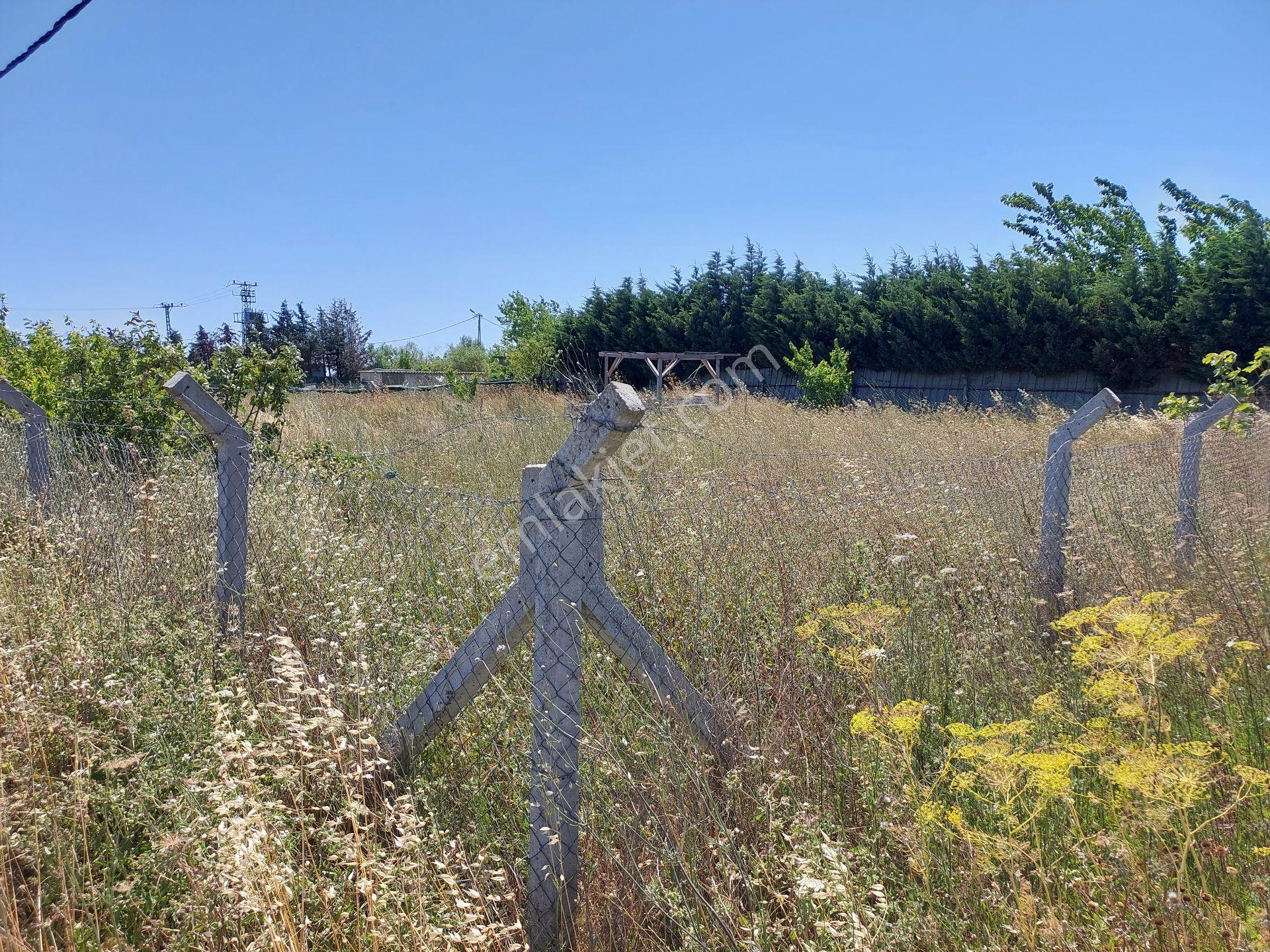 Büyükçekmece Eskice De Tek Tapu 500 M² Tel Çevrili Kapılı Kuyusu Var Meyve Ağaçları Var Yolu Var - Görsel 23