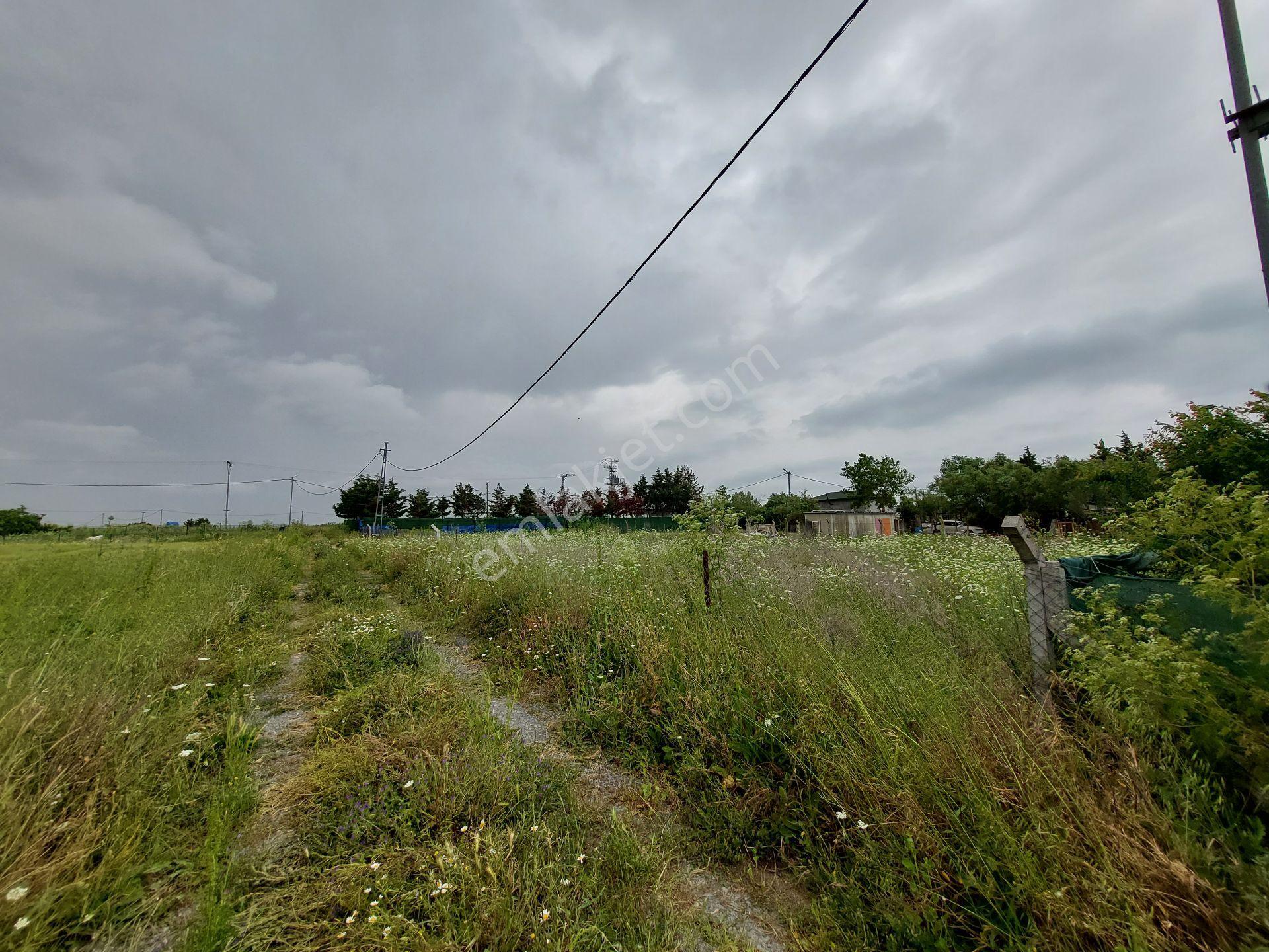 Büyükçekmece Eskice De Tek Tapu 500 M² Tel Çevrili Kapılı Kuyusu Var Meyve Ağaçları Var Yolu Var - Görsel 6