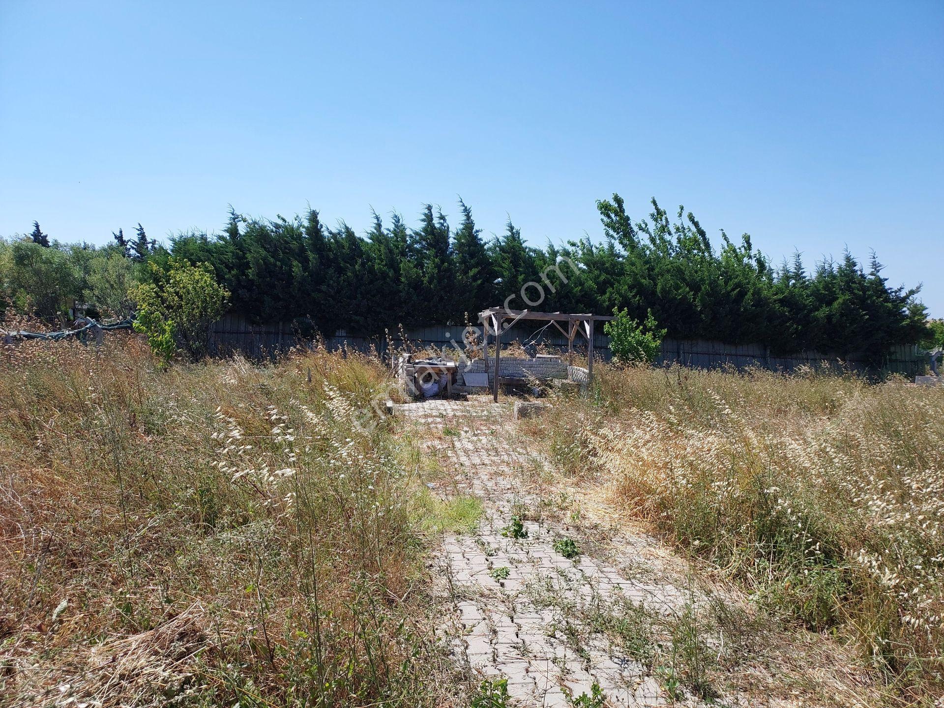 Büyükçekmece Eskice De Tek Tapu 500 M² Tel Çevrili Kapılı Kuyusu Var Meyve Ağaçları Var Yolu Var - Görsel 14