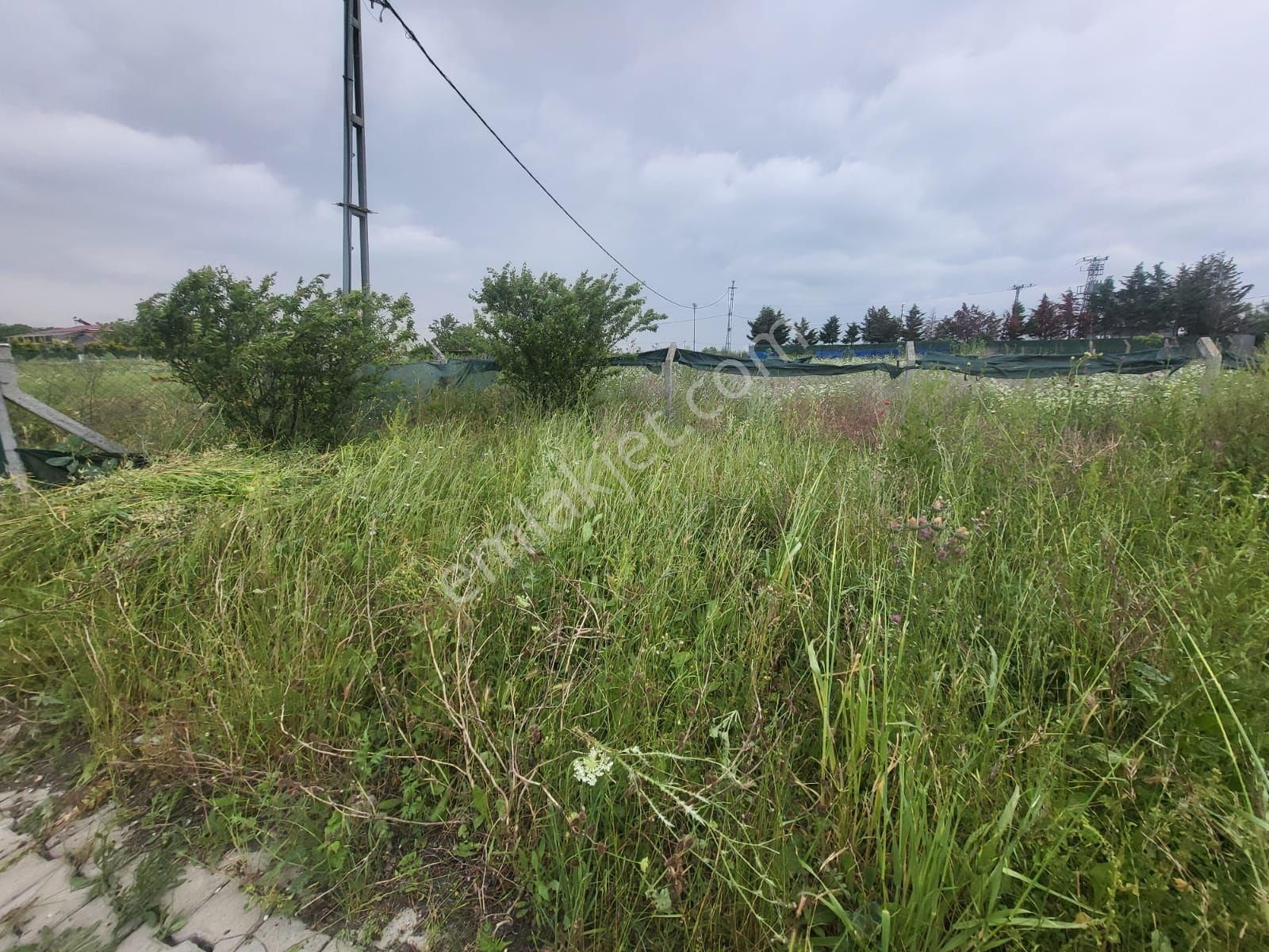 Eskice De Tek Tapu 500 M² Çevrili İçinde Kuyusu Olan Arsa - Görsel 16