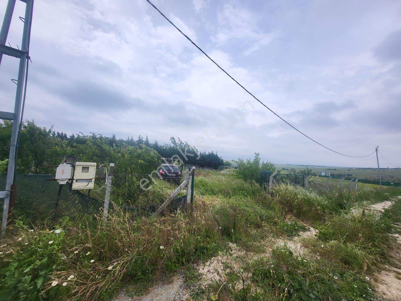 Eskice De Tek Tapu 500 M² Çevrili İçinde Kuyusu Olan Arsa - Görsel 15