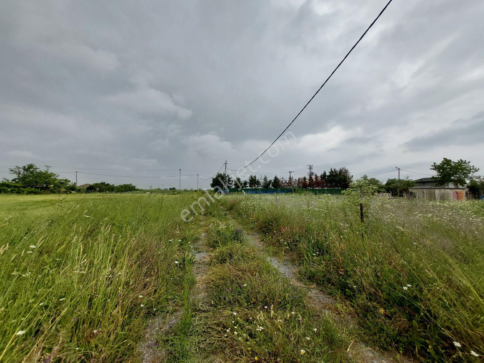 Büyükçekmece Eskice De Tek Tapu 500 M² Tel Çevrili Kapılı Kuyusu Var Meyve Ağaçları Var Yolu Var - Görsel 8