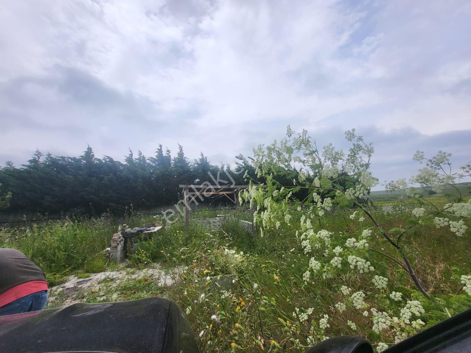 Eskice De Tek Tapu 500 M² Çevrili İçinde Kuyusu Olan Arsa - Görsel 23