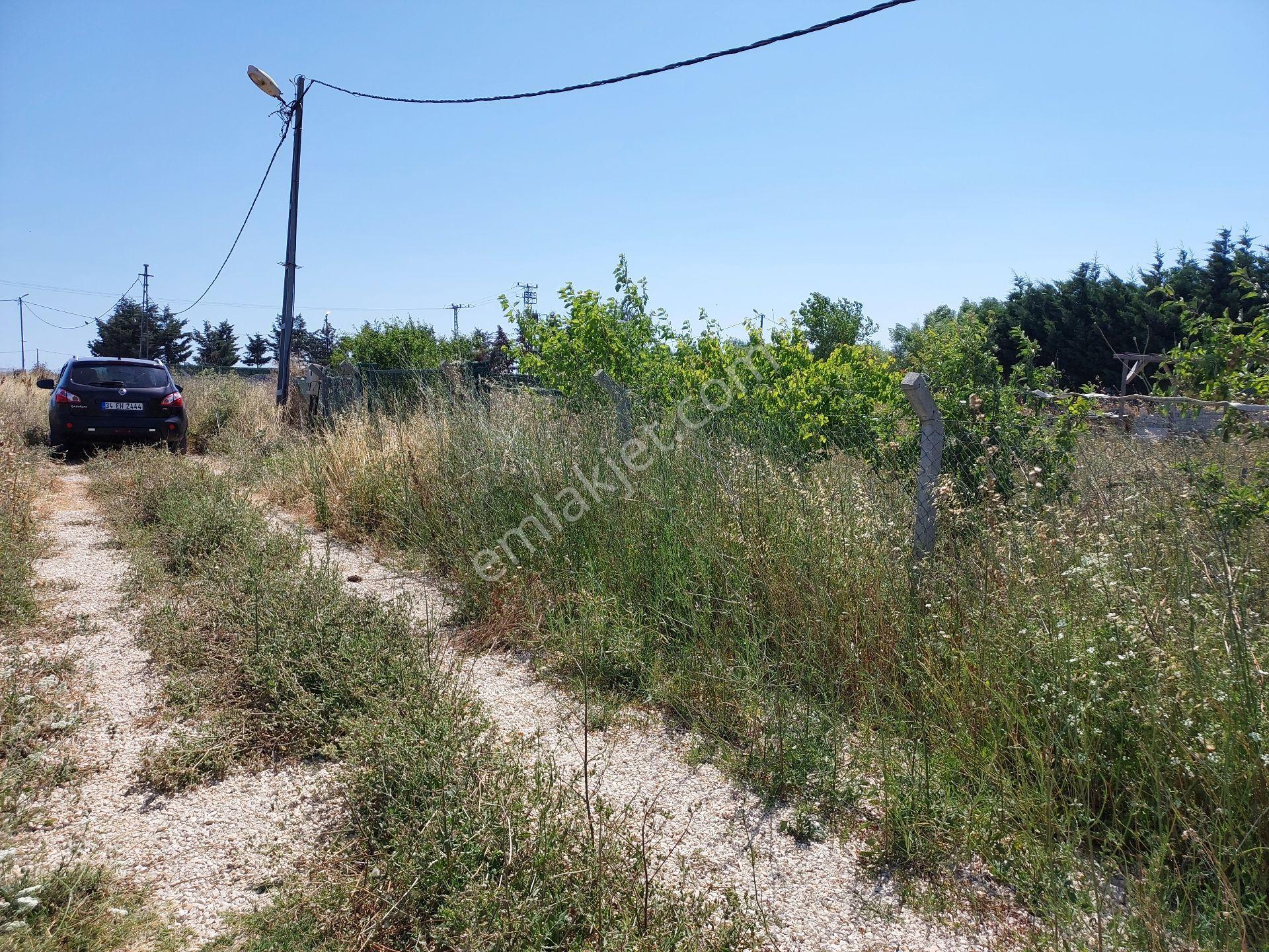 Büyükçekmece Eskice De Tek Tapu 500 M² Tel Çevrili Kapılı Kuyusu Var Meyve Ağaçları Var Yolu Var - Görsel 24