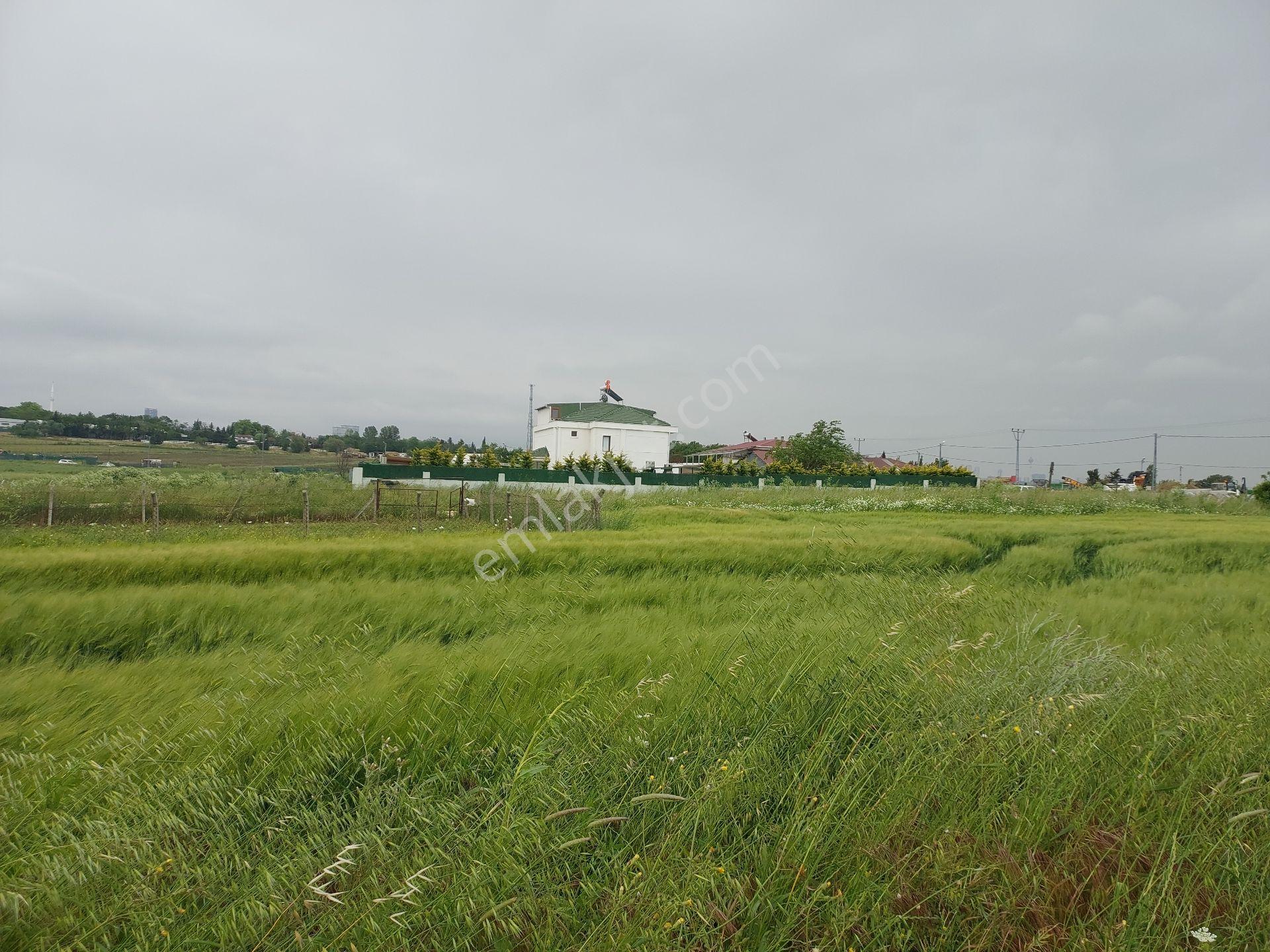 Büyükçekmece Eskice De Tek Tapu 500 M² Tel Çevrili Kapılı Kuyusu Var Meyve Ağaçları Var Yolu Var - Görsel 2