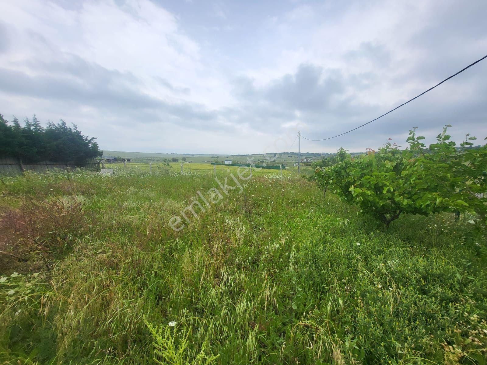 Eskice De Tek Tapu 500 M² Çevrili İçinde Kuyusu Olan Arsa - Görsel 13