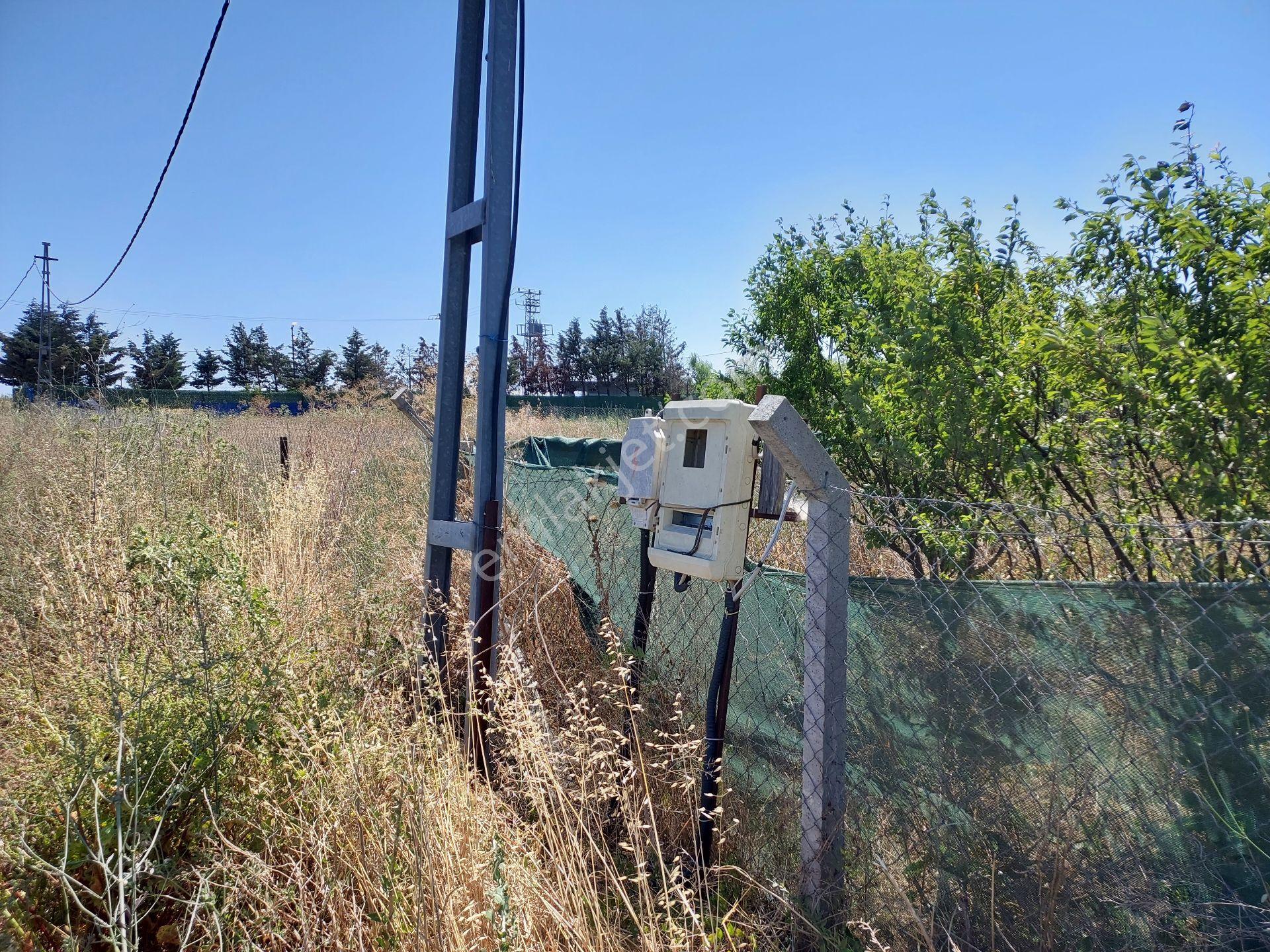 Büyükçekmece Eskice De Tek Tapu 500 M² Tel Çevrili Kapılı Kuyusu Var Meyve Ağaçları Var Yolu Var - Görsel 16
