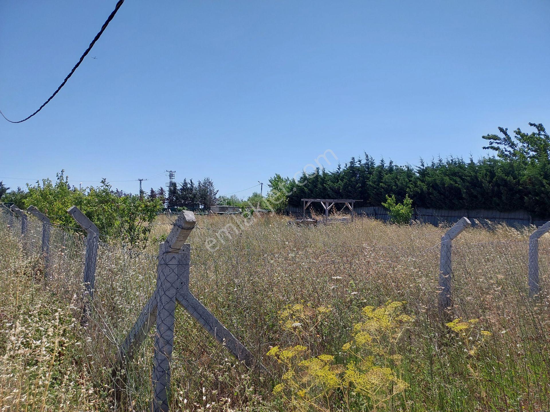 Büyükçekmece Eskice De Tek Tapu 500 M² Tel Çevrili Kapılı Kuyusu Var Meyve Ağaçları Var Yolu Var - Görsel 21