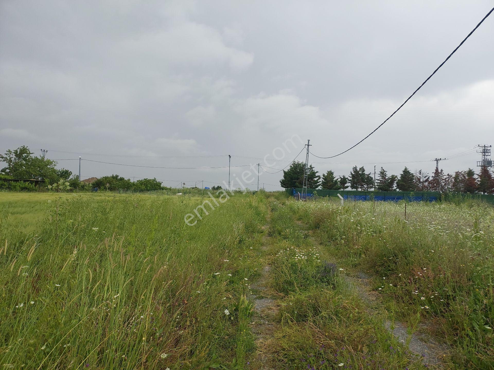 Büyükçekmece Eskice De Tek Tapu 500 M² Tel Çevrili Kapılı Kuyusu Var Meyve Ağaçları Var Yolu Var - Görsel 9