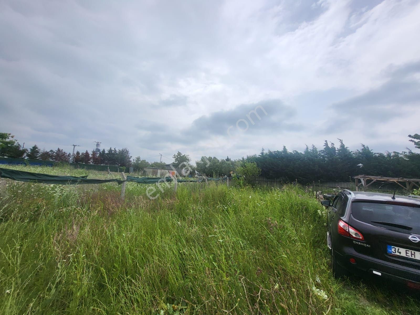 Eskice De Tek Tapu 500 M² Çevrili İçinde Kuyusu Olan Arsa - Görsel 21