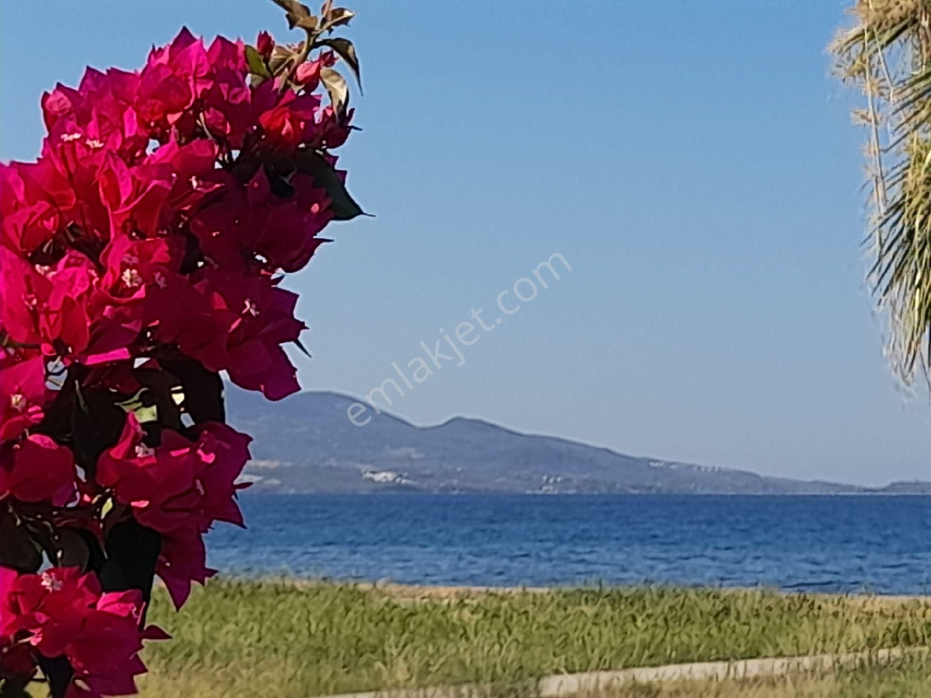 Denize Sıfır 5+1 Tripleks Villa Kabakum Bankacılar Sitesinde Dikili Güven Emlaktan - Görsel 20