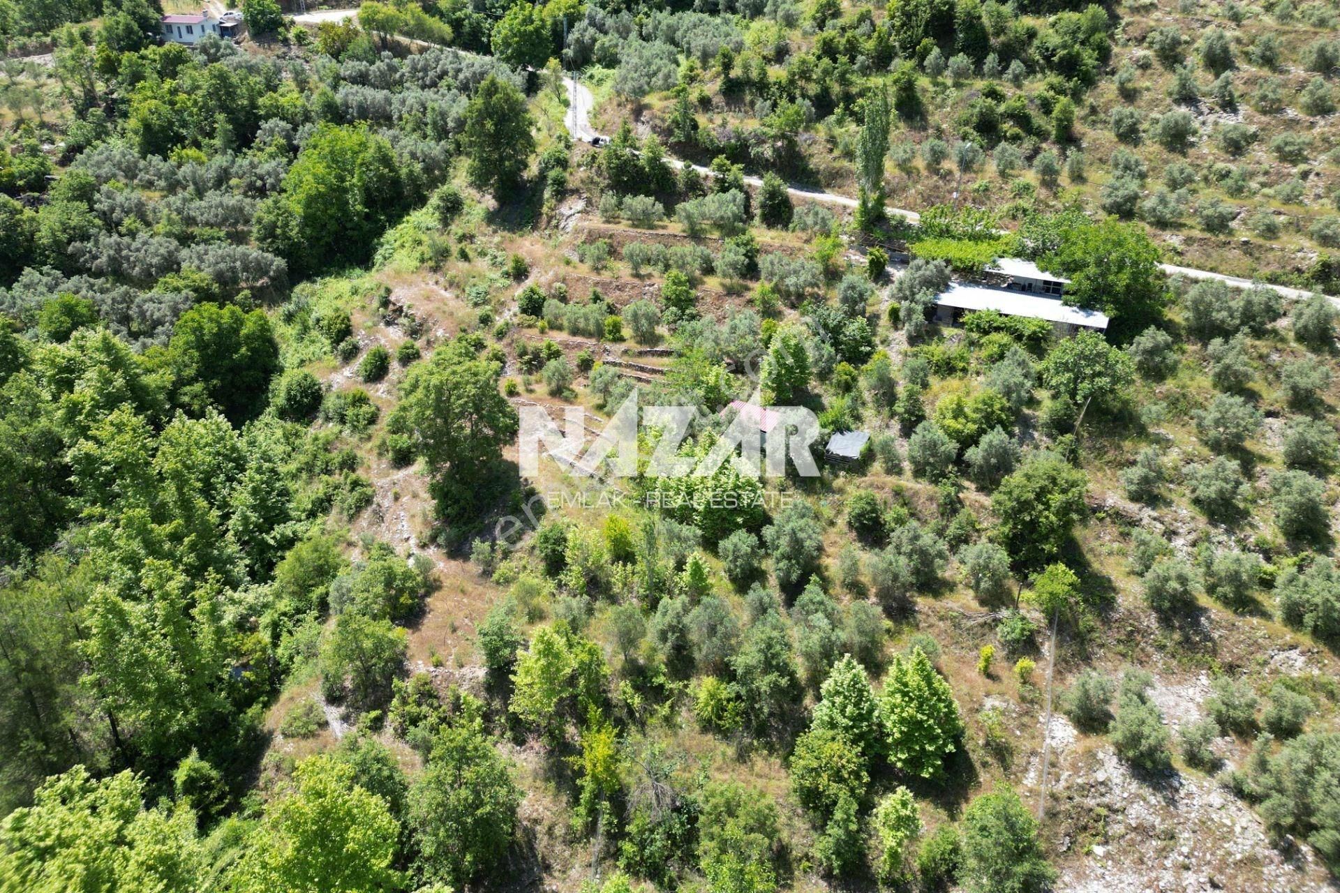 Alanya Mahmutseydi Köyü’nde Satılık 2.942 M² Tarla - Görsel 6