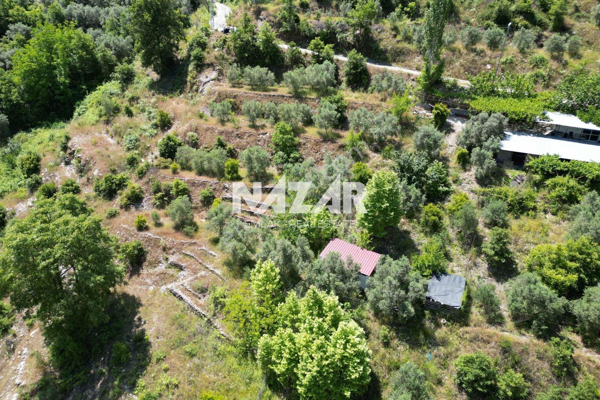 Alanya Mahmutseydi Köyü’nde Satılık 2.942 M² Tarla - Görsel 9