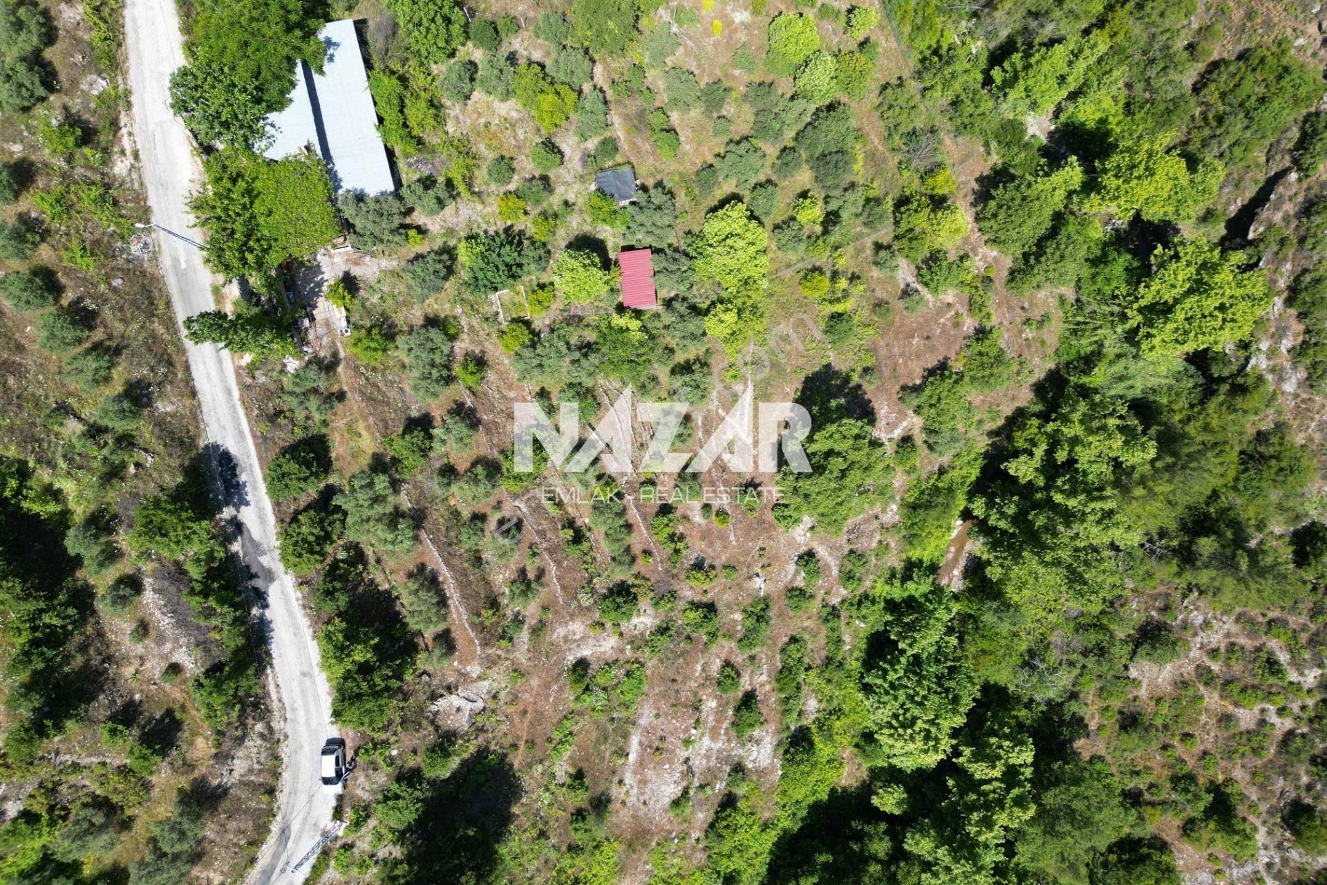 Alanya Mahmutseydi Köyü’nde Satılık 2.942 M² Tarla - Görsel 10