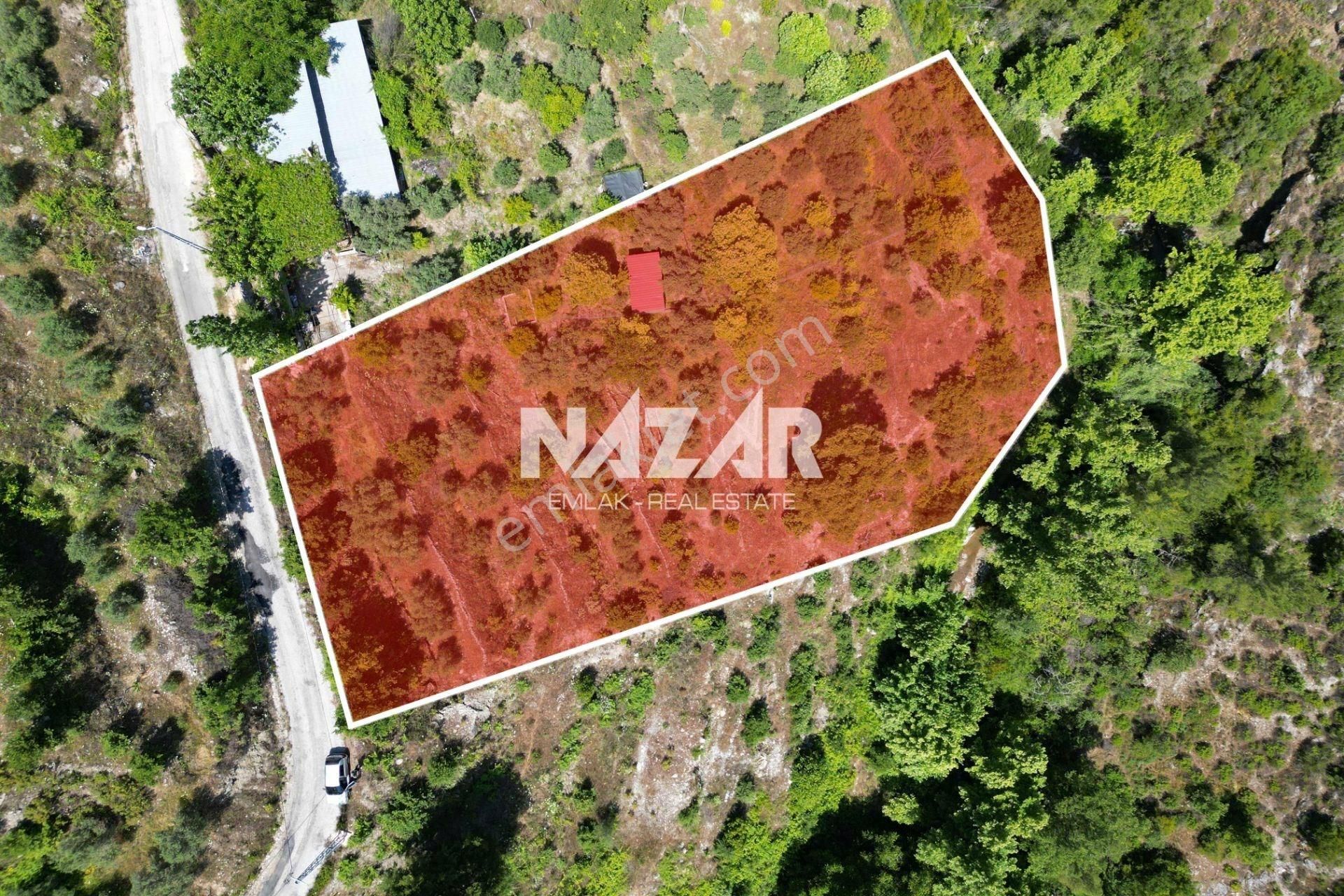 Alanya Mahmutseydi Köyü’nde Satılık 2.942 M² Tarla - Görsel 4