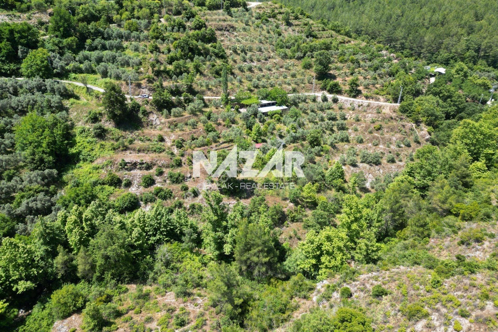 Alanya Mahmutseydi Köyü’nde Satılık 2.942 M² Tarla