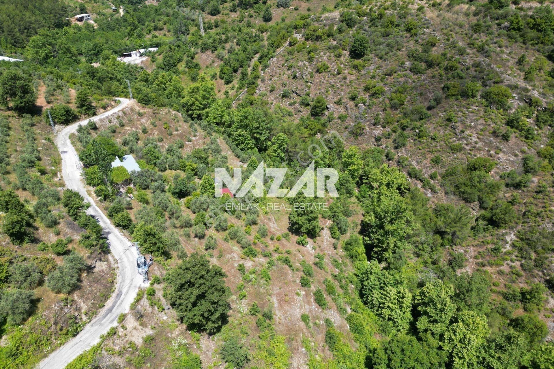 Alanya Mahmutseydi Köyü’nde Satılık 2.942 M² Tarla - Görsel 12