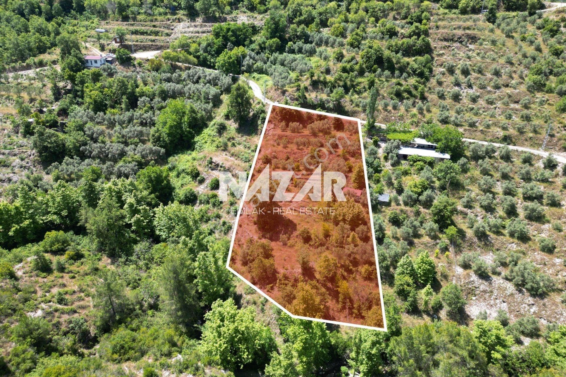 Alanya Mahmutseydi Köyü’nde Satılık 2.942 M² Tarla - Görsel 3