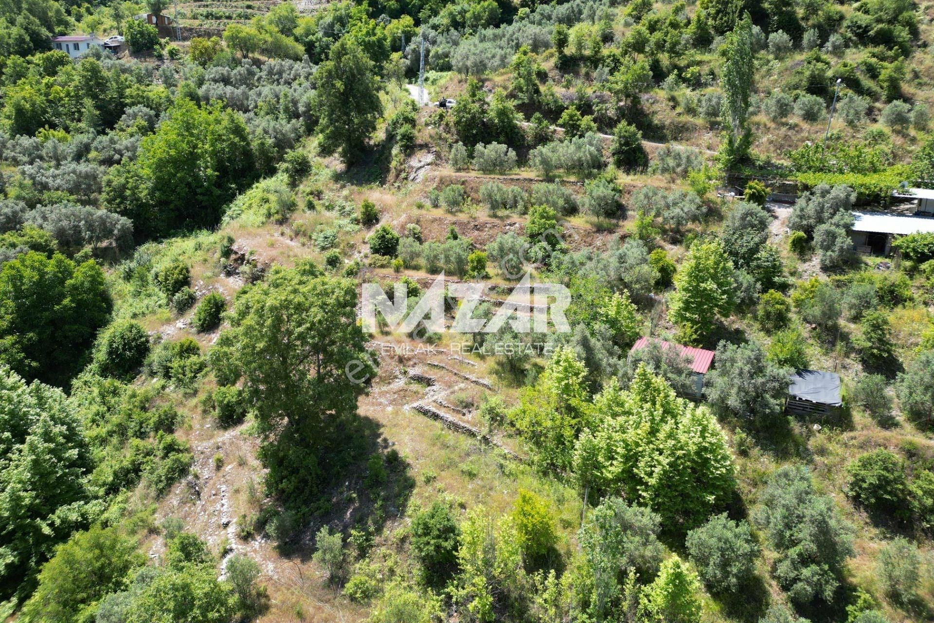 Alanya Mahmutseydi Köyü’nde Satılık 2.942 M² Tarla - Görsel 7