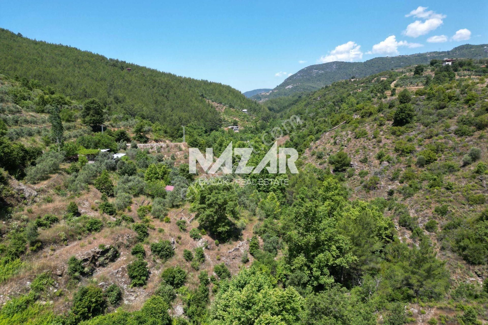 Alanya Mahmutseydi Köyü’nde Satılık 2.942 M² Tarla - Görsel 8