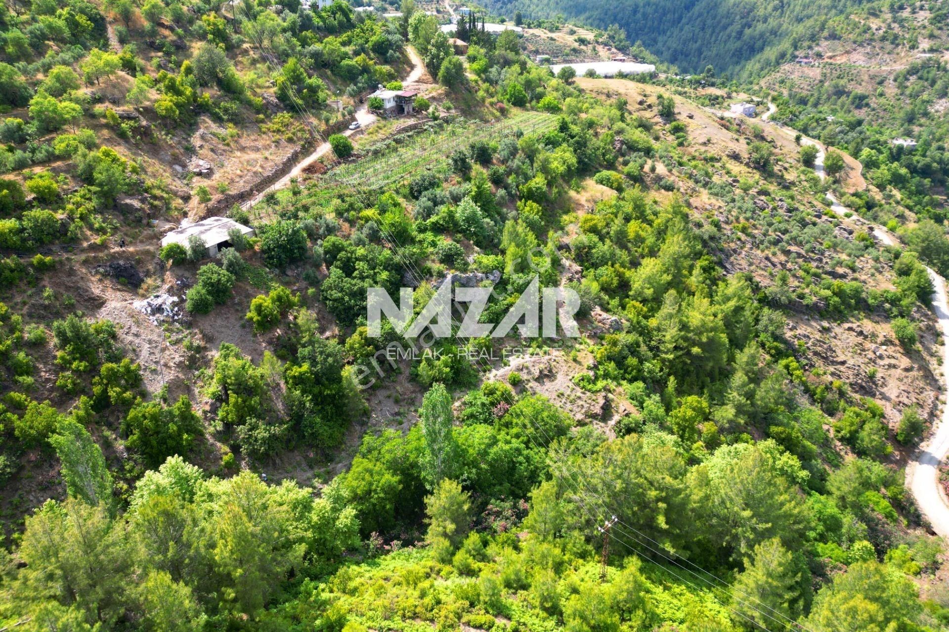 Alanya Türktaş'ta Satılık 3.360 M² Tarla - Görsel 5