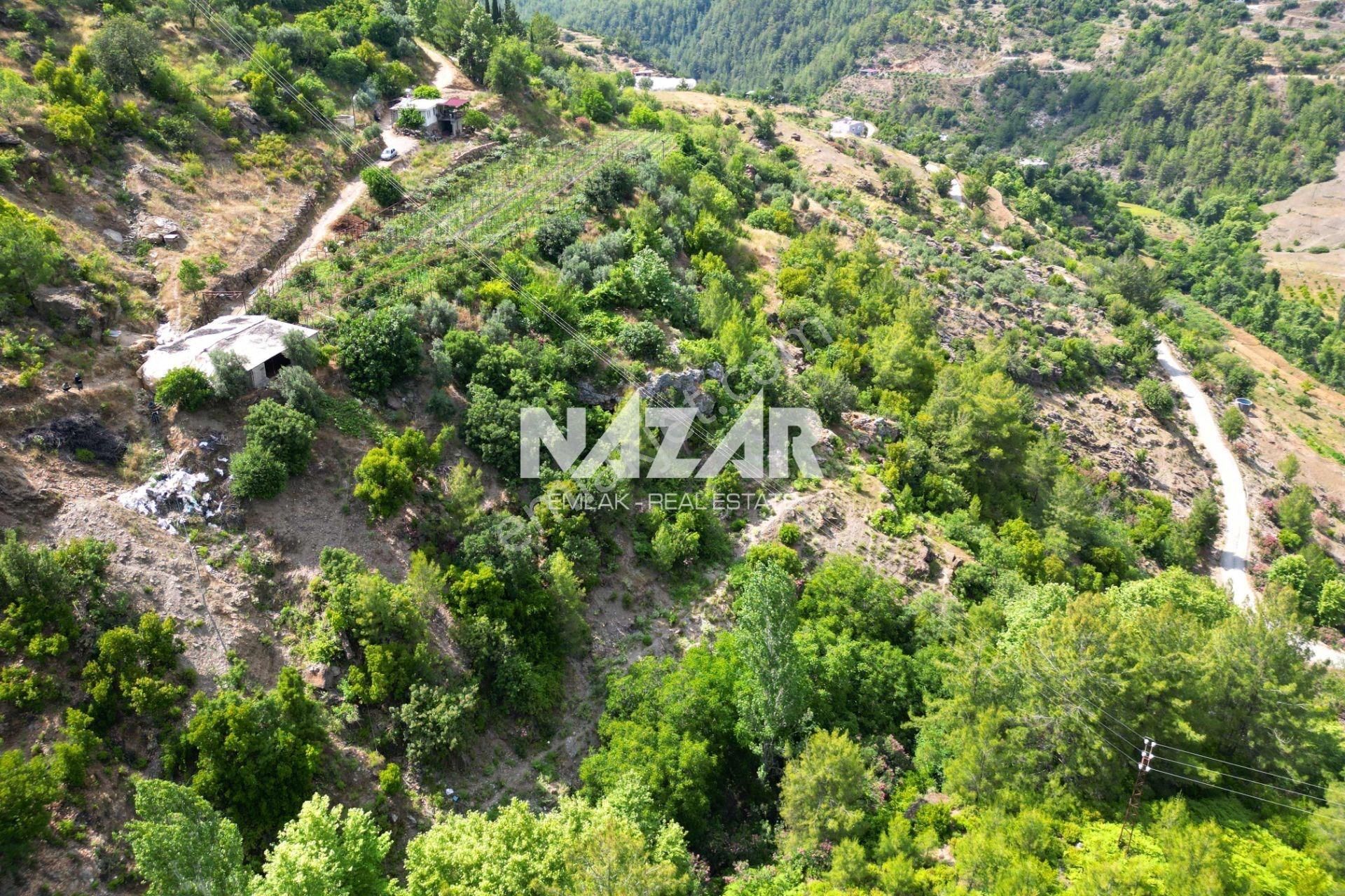 Alanya Türktaş'ta Satılık 3.360 M² Tarla - Görsel 7