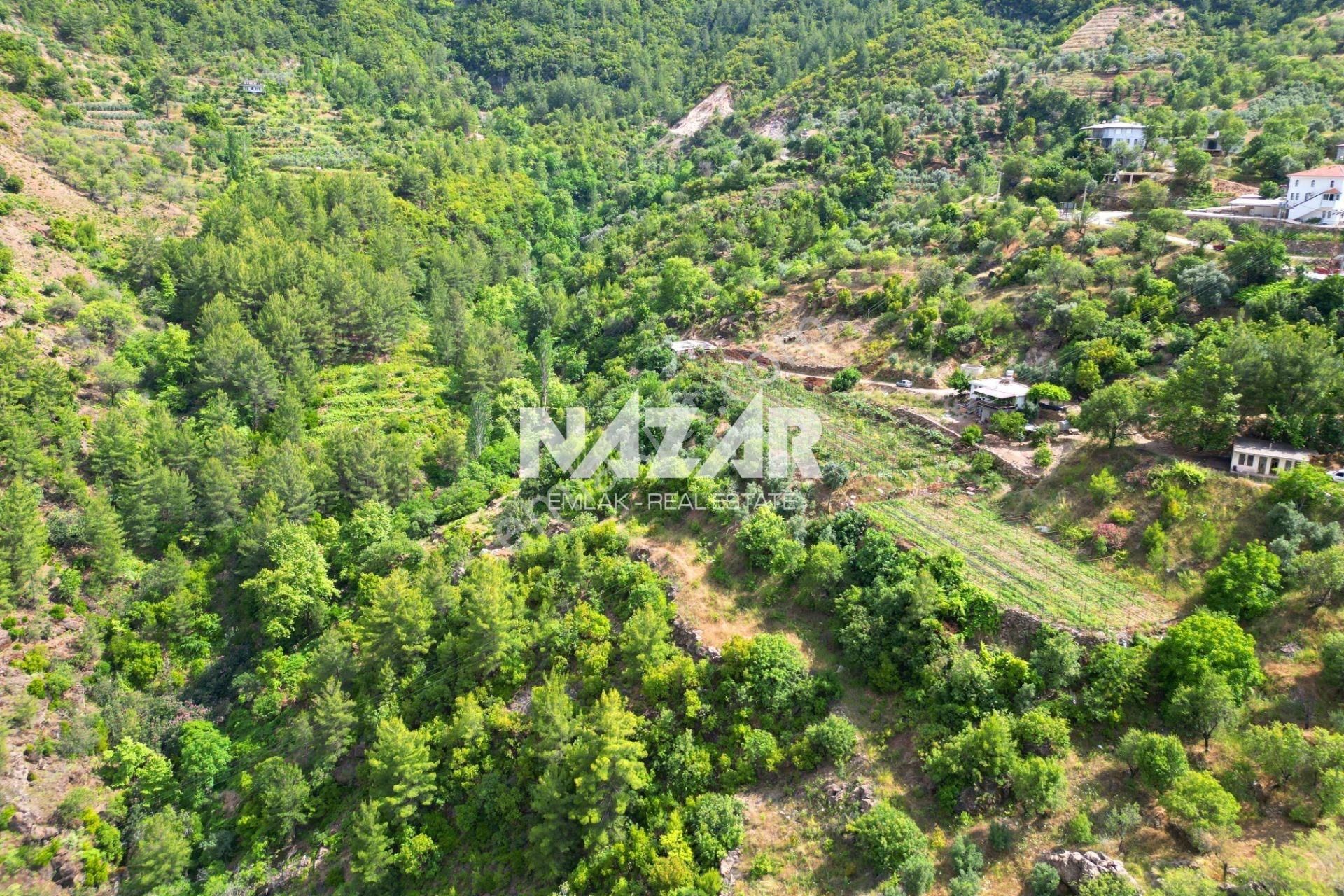 Alanya Türktaş'ta Satılık 3.360 M² Tarla - Görsel 6