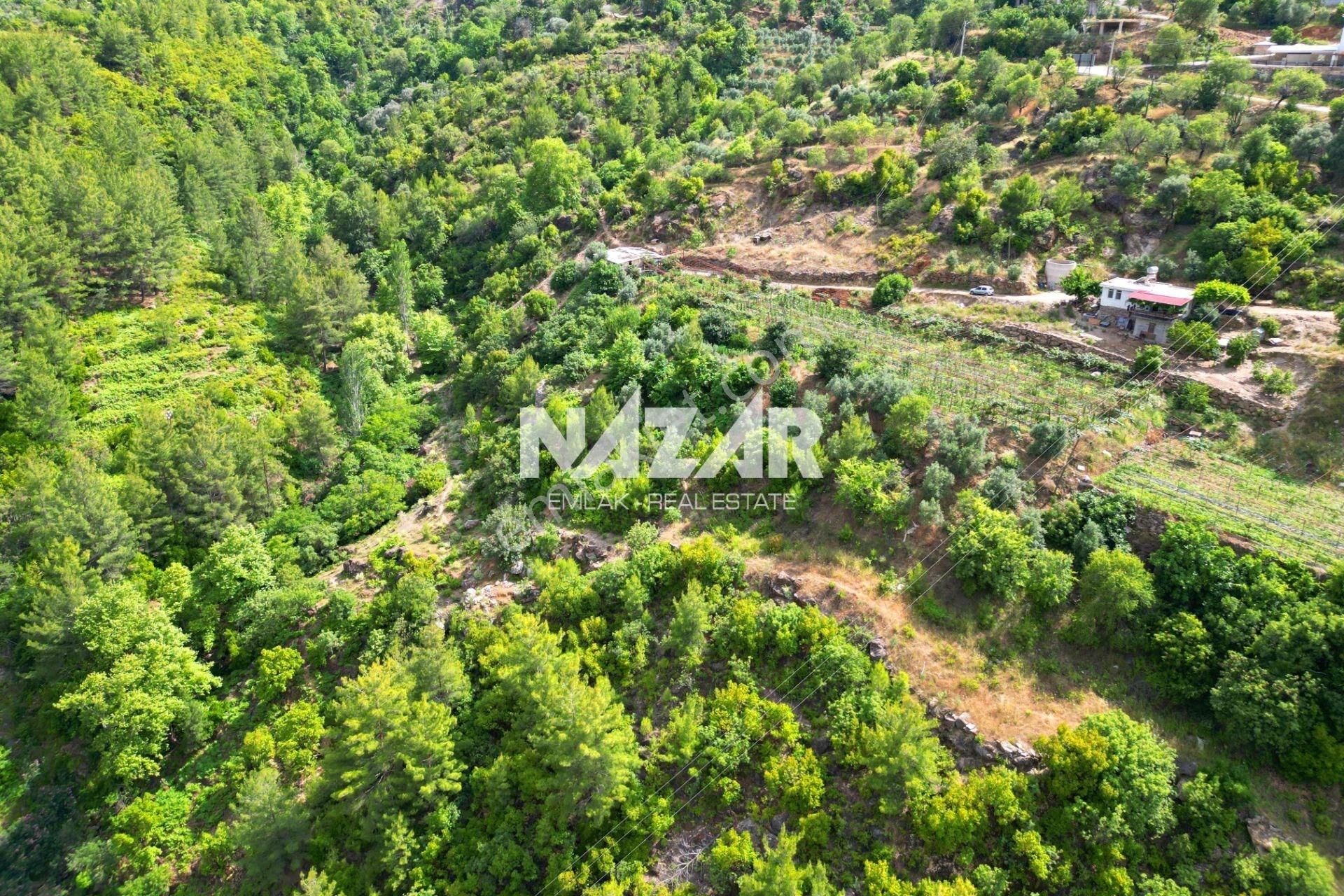 Alanya Türktaş'ta Satılık 3.360 M² Tarla - Görsel 11