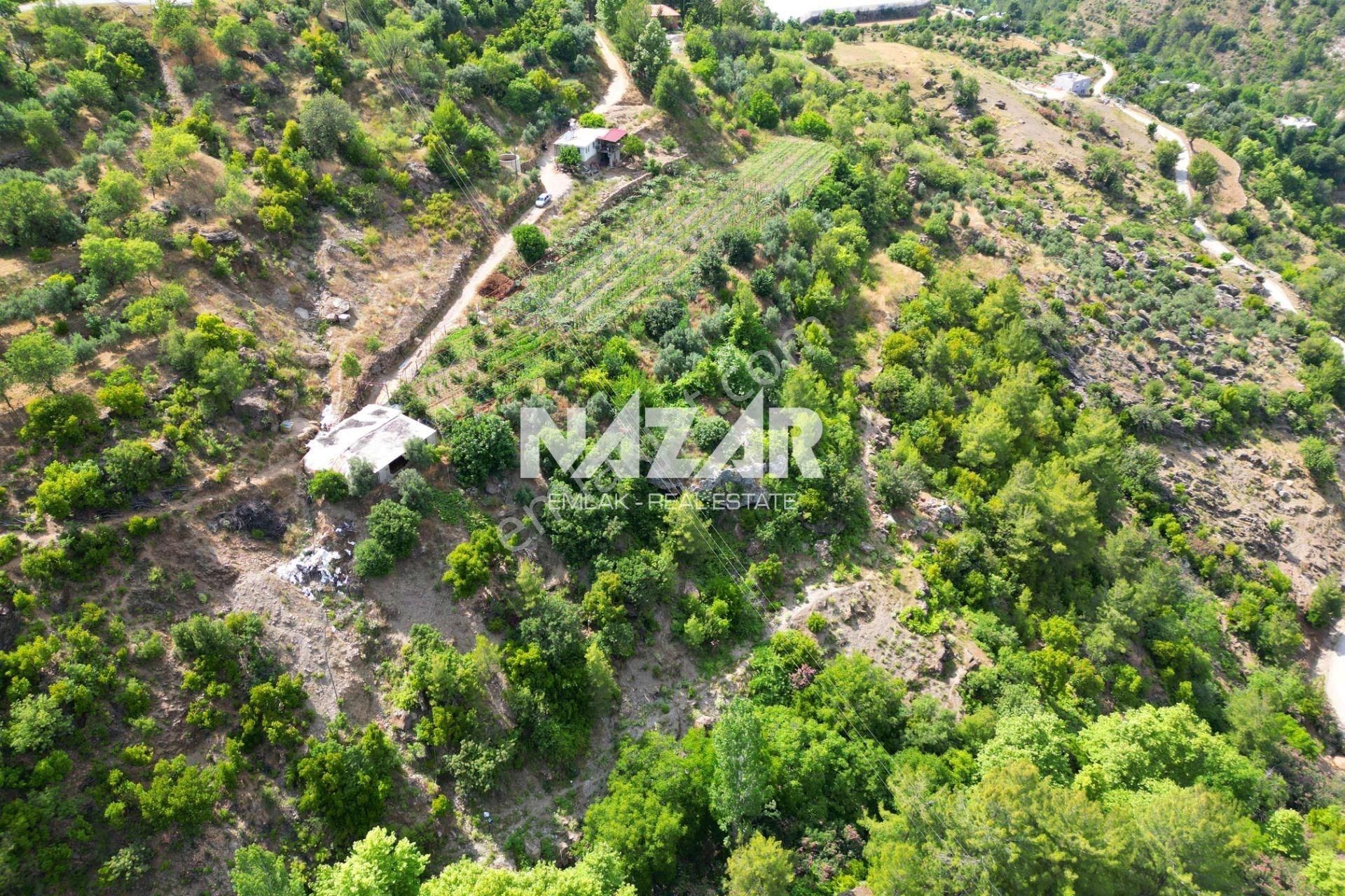 Alanya Türktaş'ta Satılık 3.360 M² Tarla - Görsel 15
