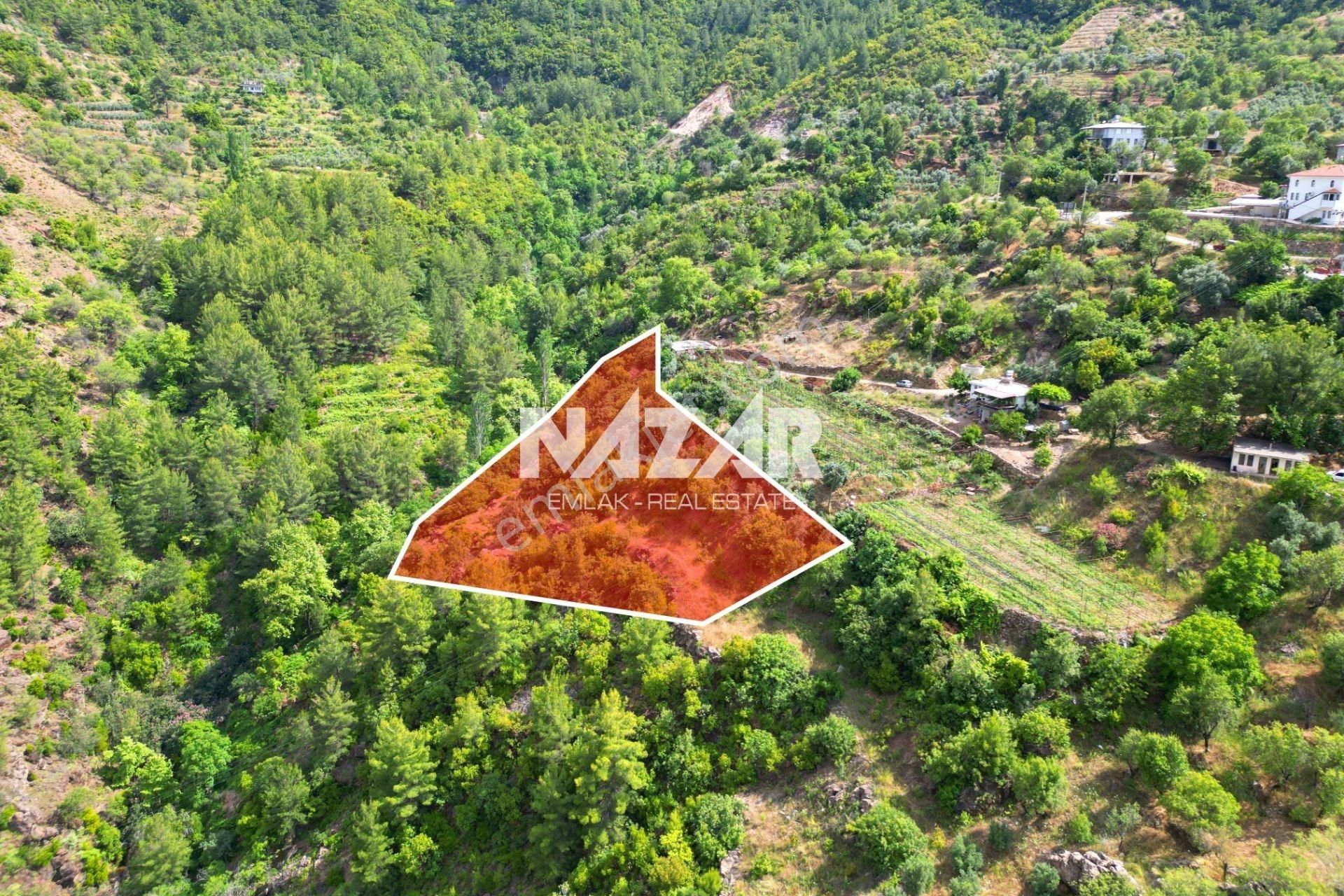 Alanya Türktaş'ta Satılık 3.360 M² Tarla - Görsel 4