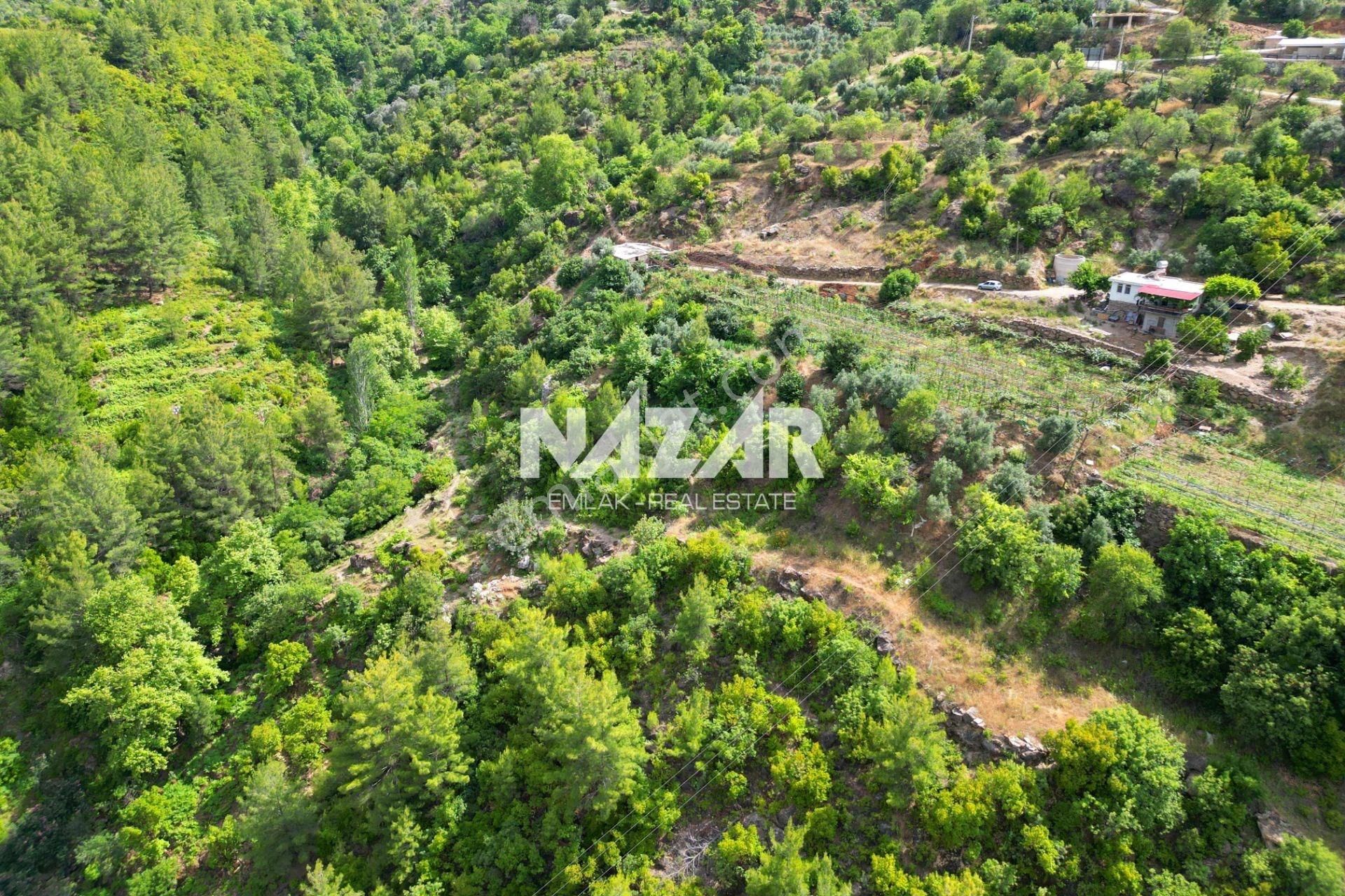 Alanya Türktaş'ta Satılık 3.360 M² Tarla - Görsel 10