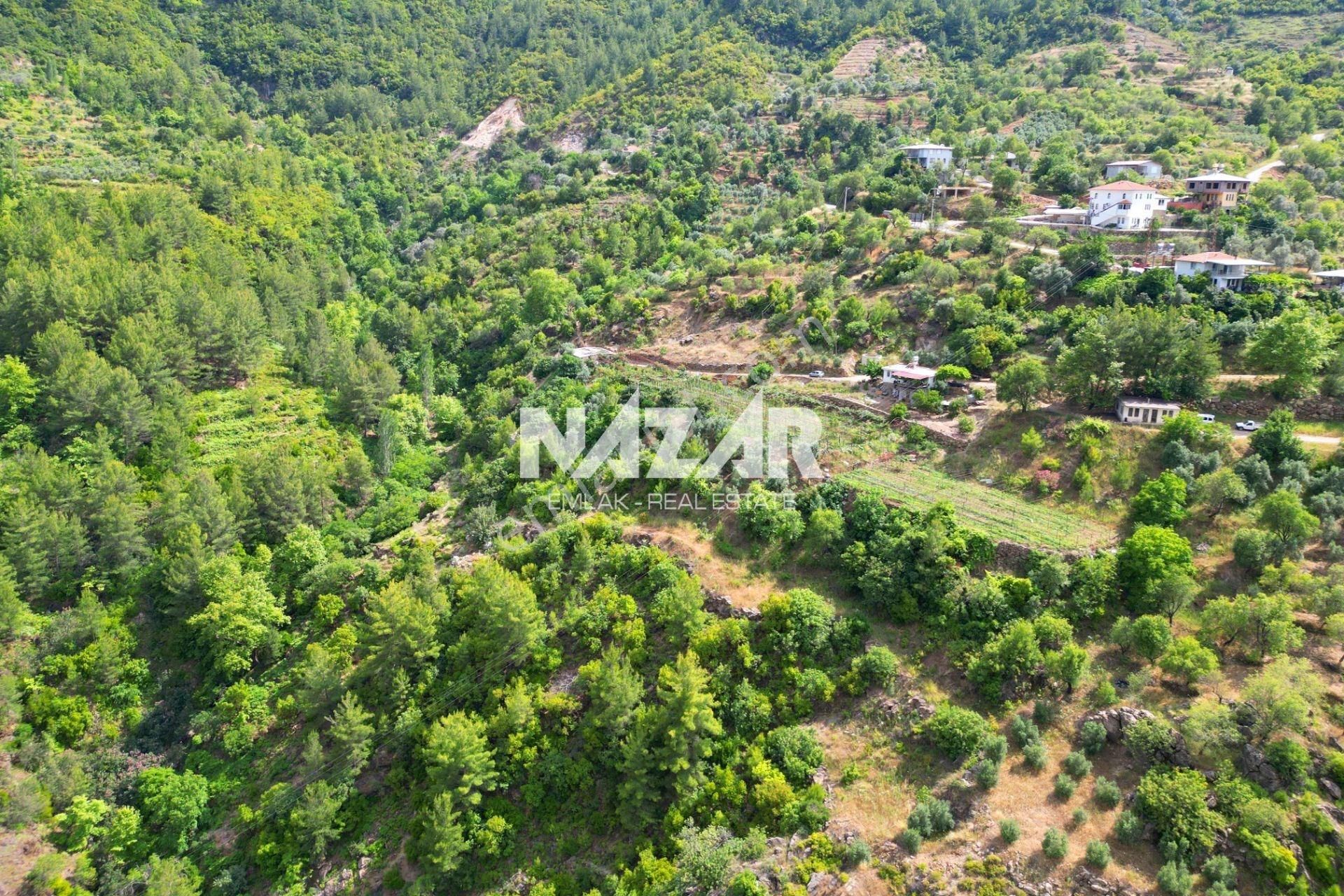 Alanya Türktaş'ta Satılık 3.360 M² Tarla - Görsel 8