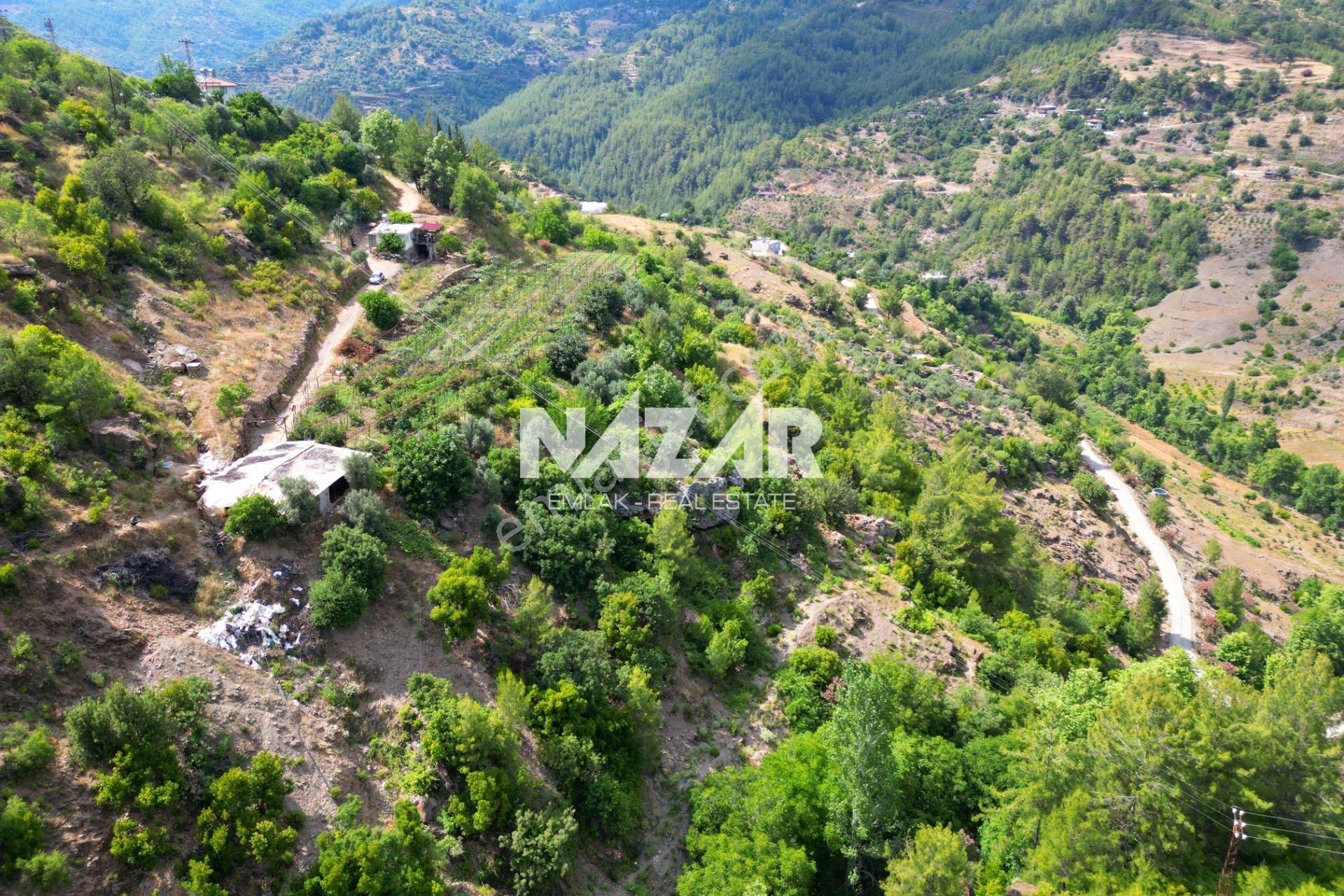 Alanya Türktaş'ta Satılık 3.360 M² Tarla - Görsel 9