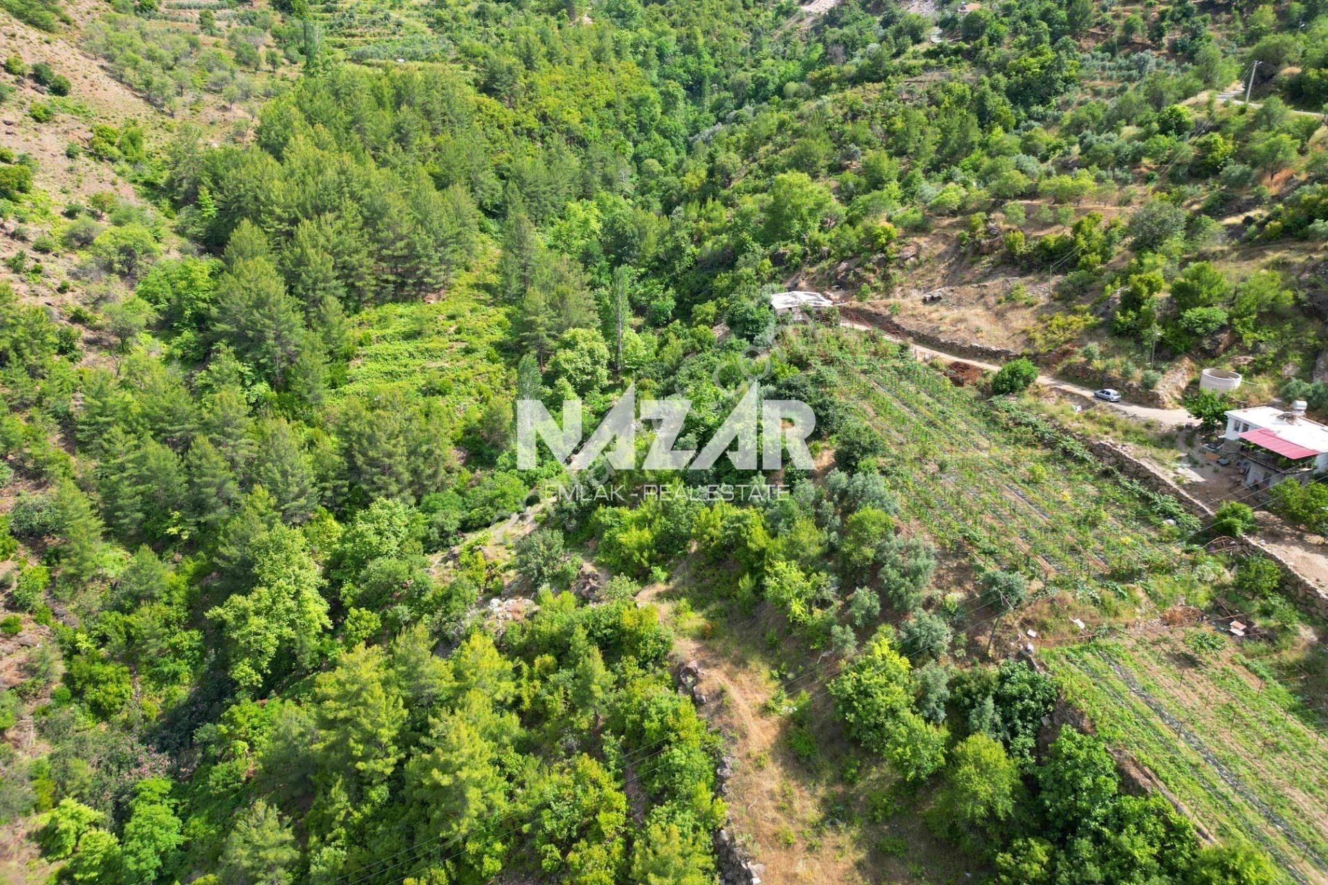 Alanya Türktaş'ta Satılık 3.360 M² Tarla - Görsel 12
