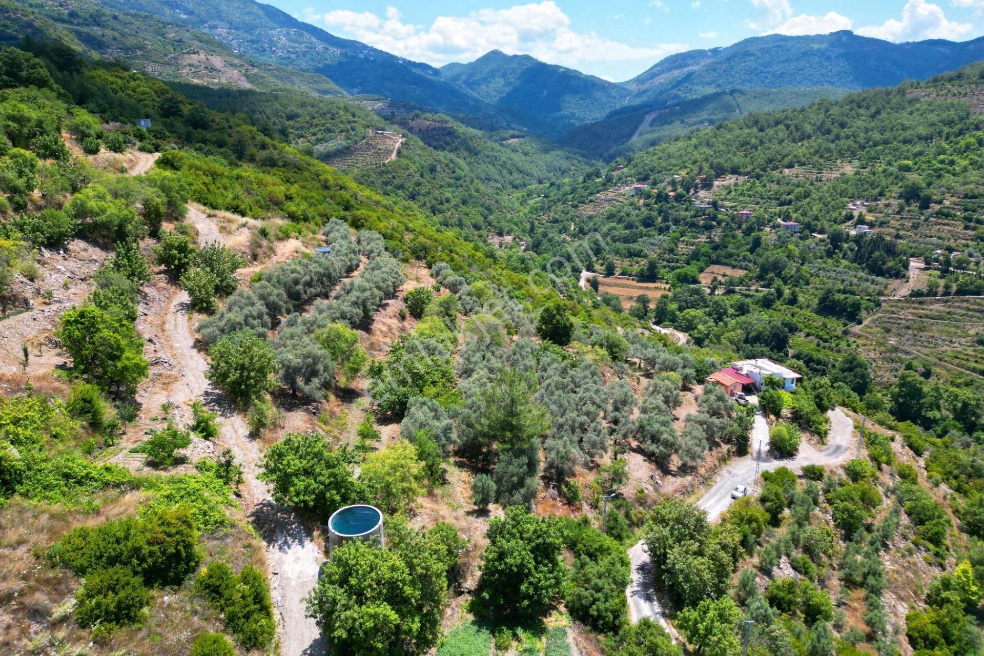 Alanya Mahmutseydi'de Satılık 4.115 M² Tarla - Görsel 6