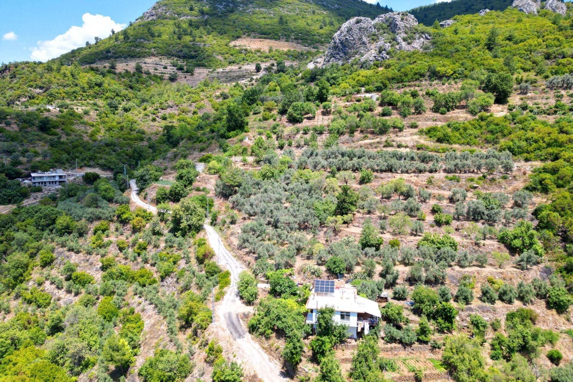 Alanya Mahmutseydi'de Satılık 4.115 M² Tarla - Görsel 7