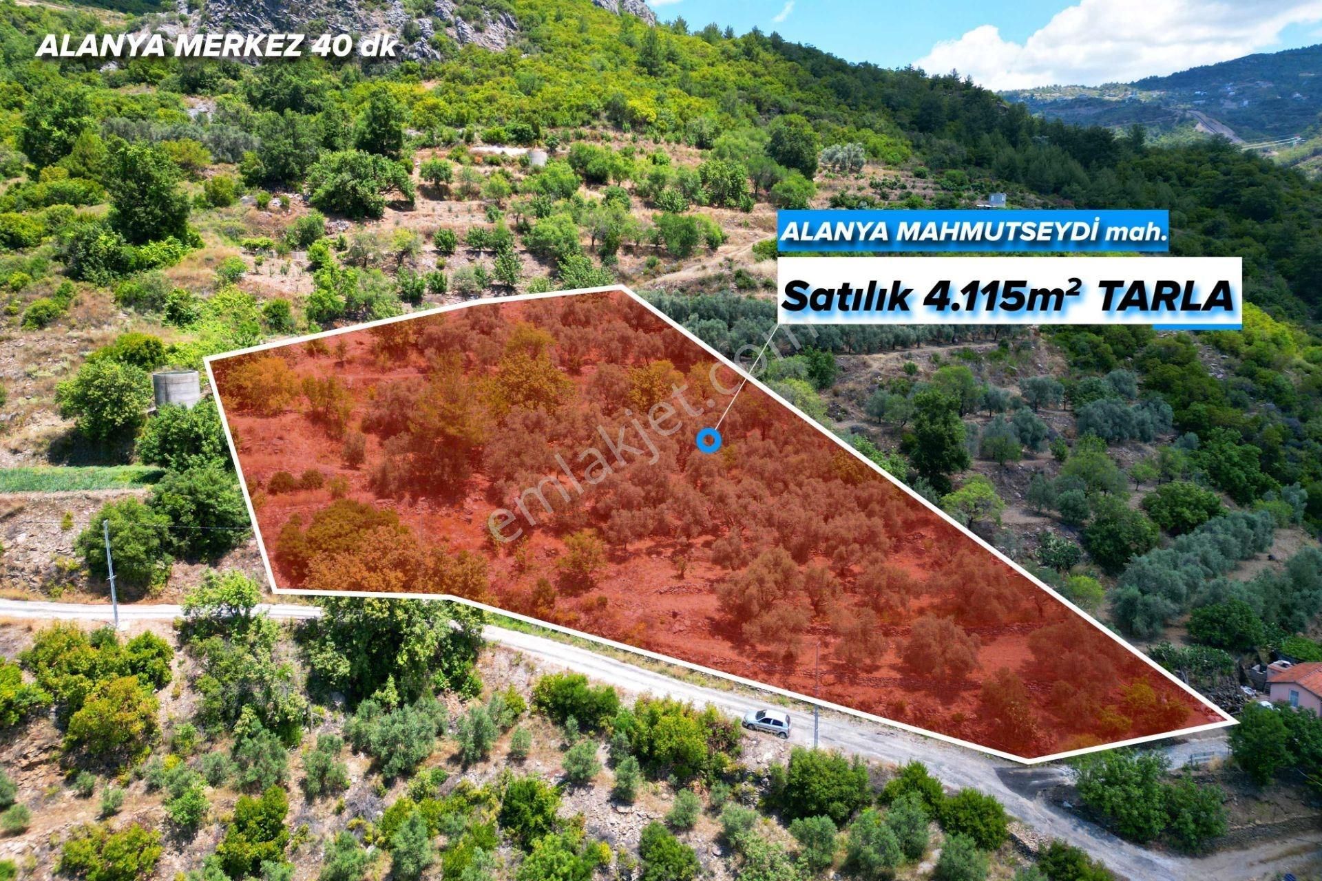 Alanya Mahmutseydi'de Satılık 4.115 M² Tarla
