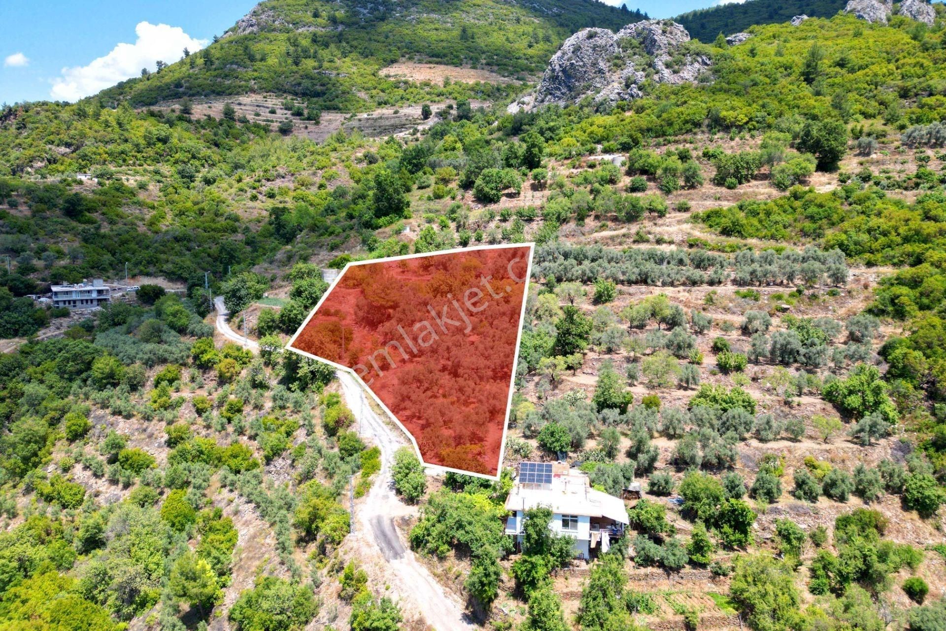 Alanya Mahmutseydi'de Satılık 4.115 M² Tarla - Görsel 3