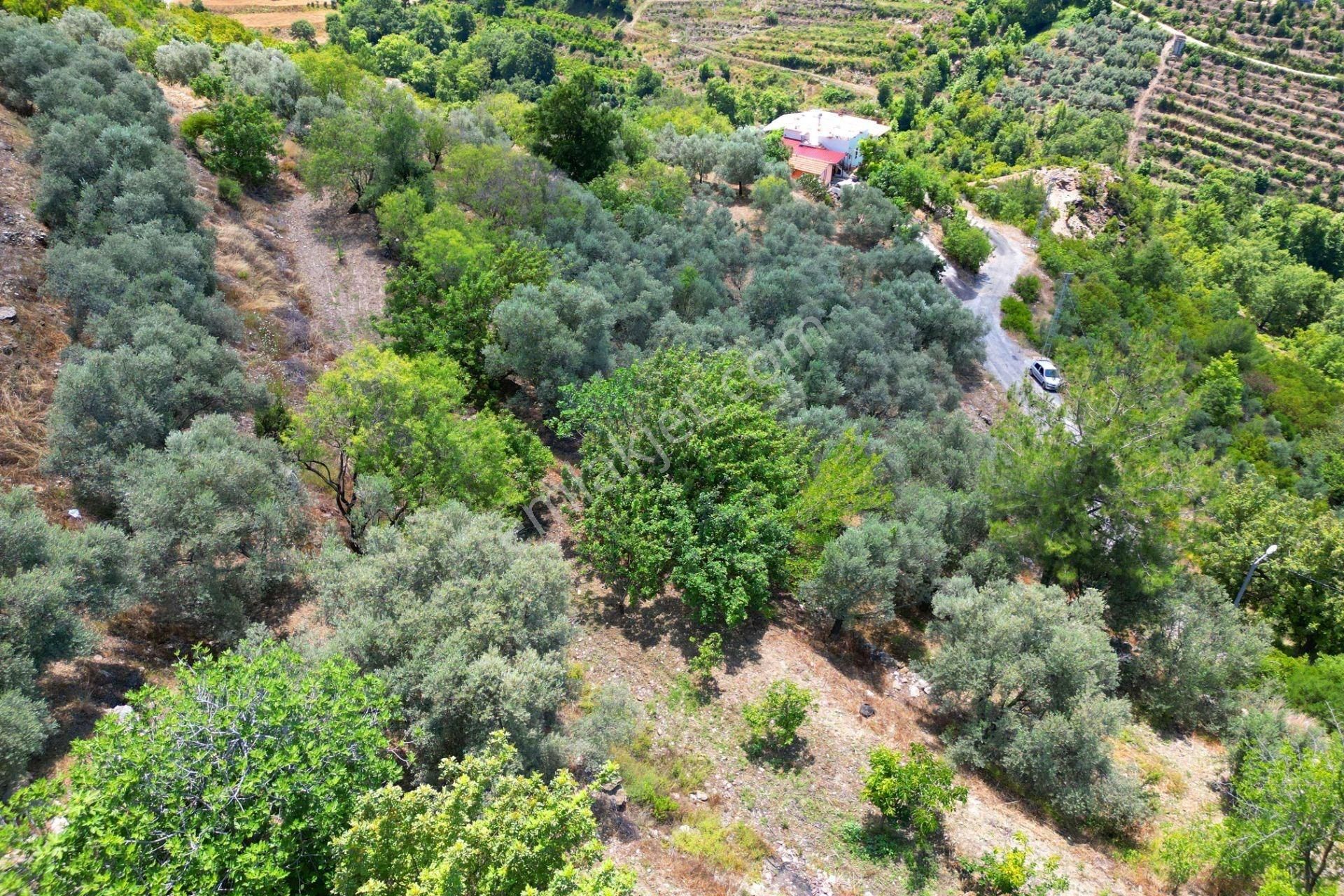 Alanya Mahmutseydi'de Satılık 4.115 M² Tarla - Görsel 9