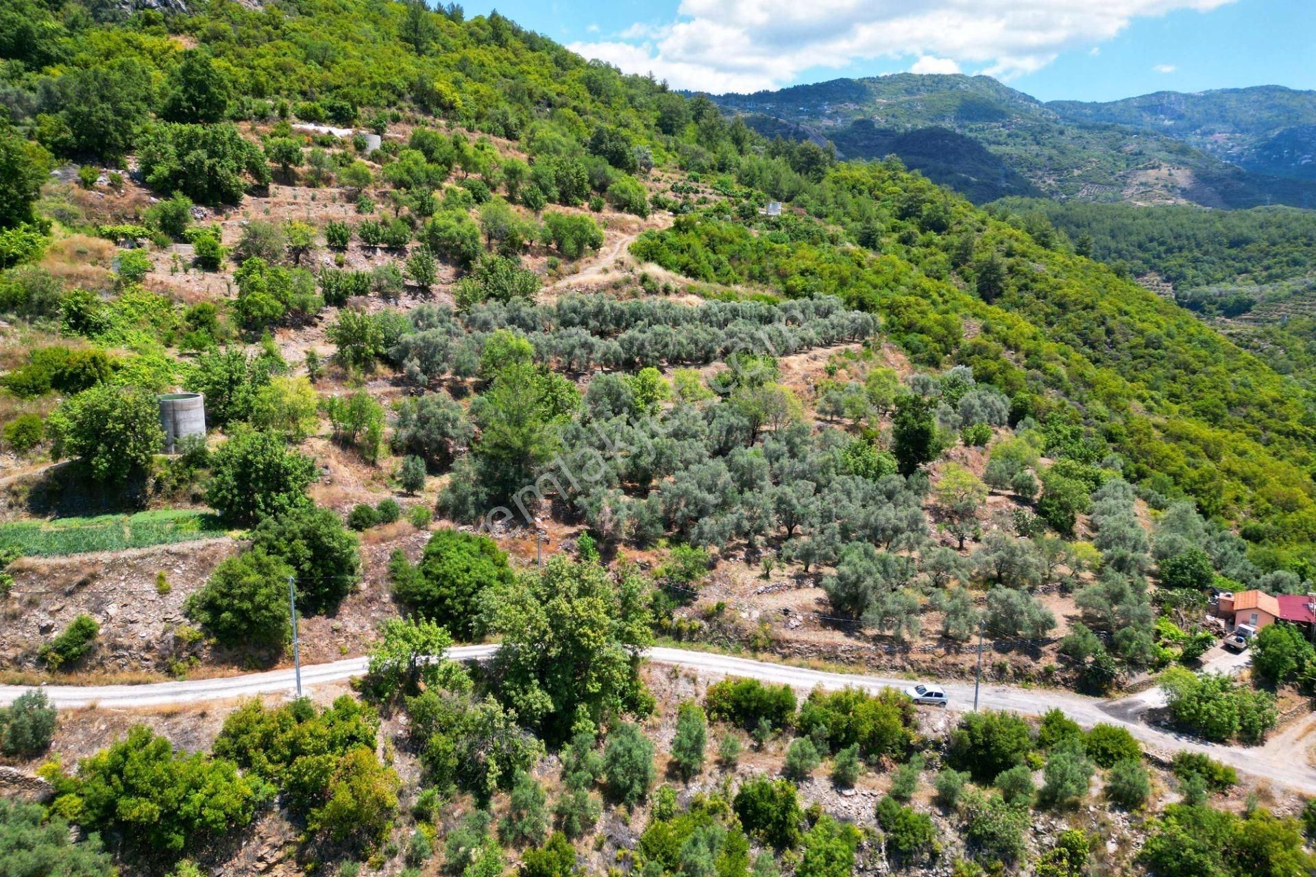 Alanya Mahmutseydi'de Satılık 4.115 M² Tarla - Görsel 5