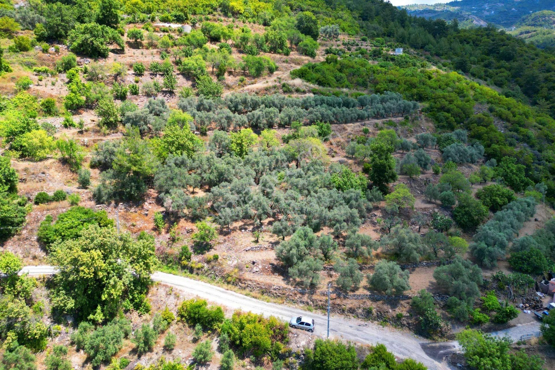 Alanya Mahmutseydi'de Satılık 4.115 M² Tarla - Görsel 13