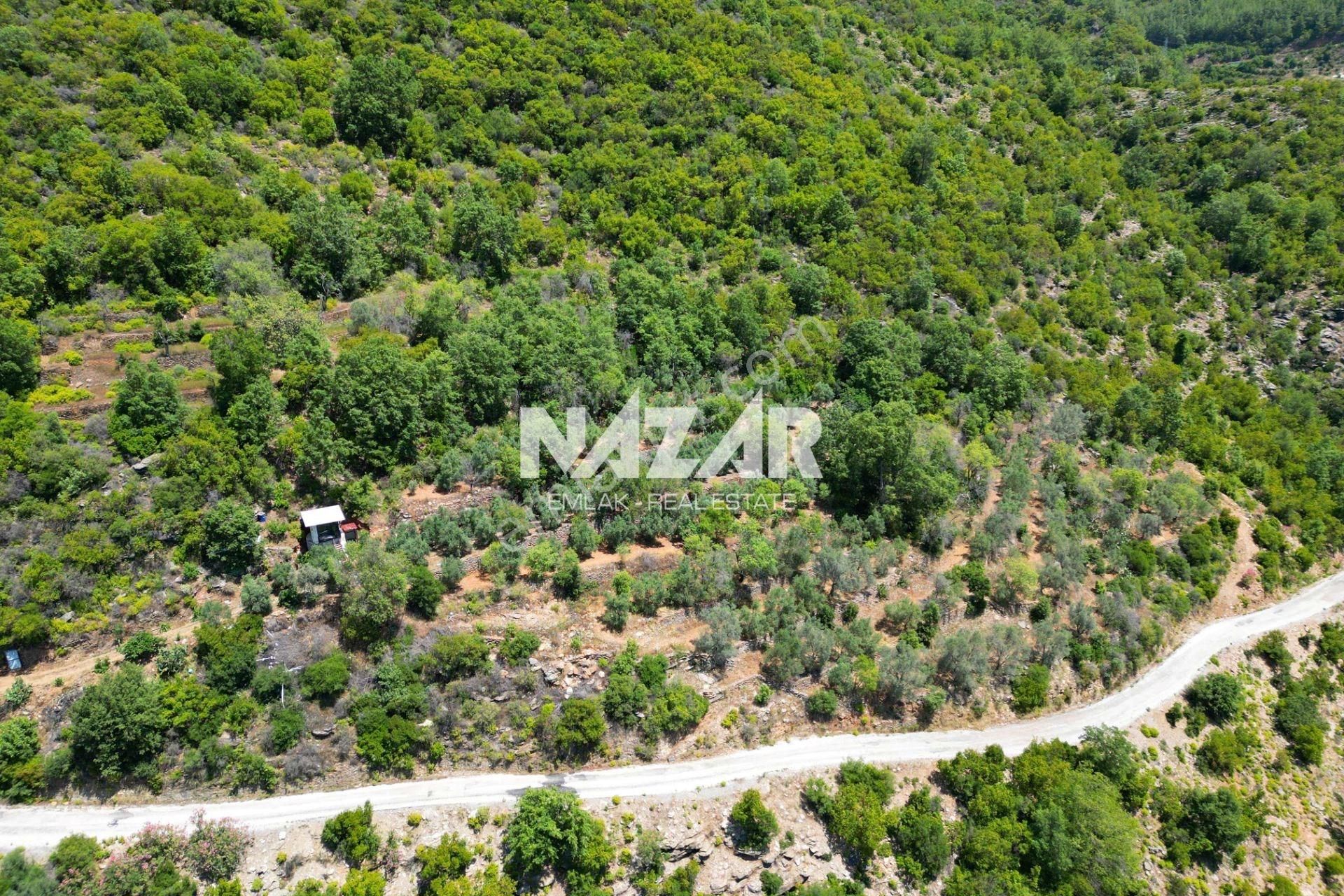 Alanya Mahmutseydi'de Satılık 1.411 M² Tarla - Görsel 9